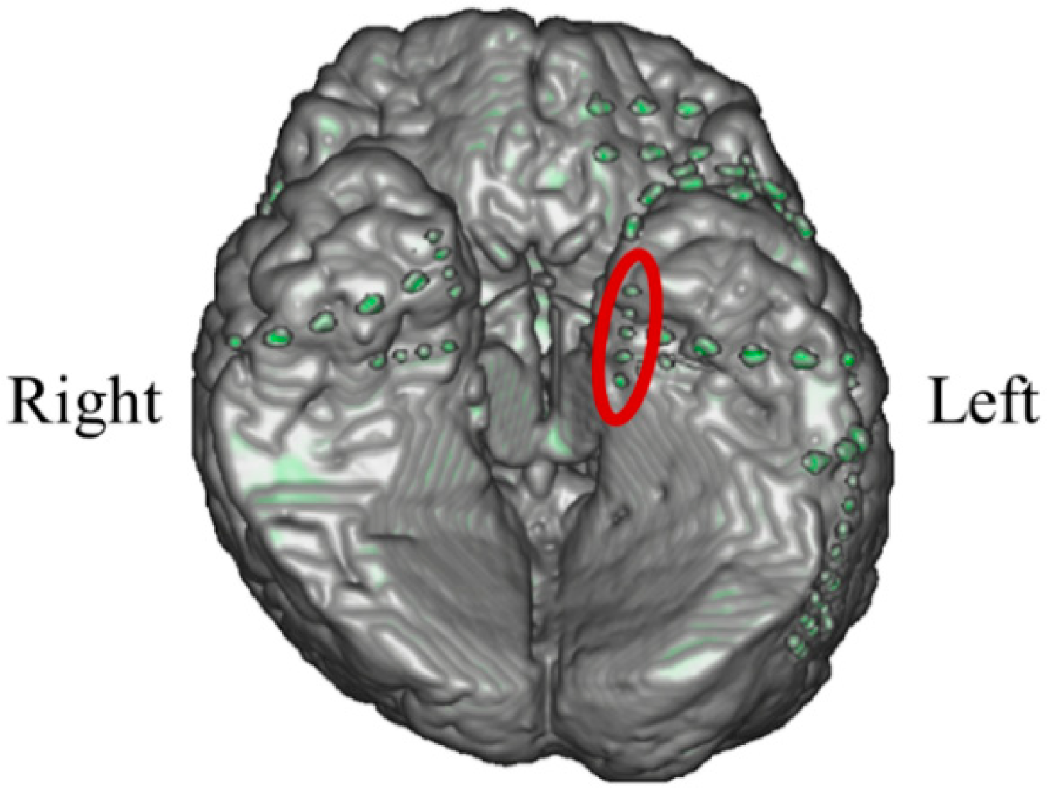 Biomedicines 11 02262 g012