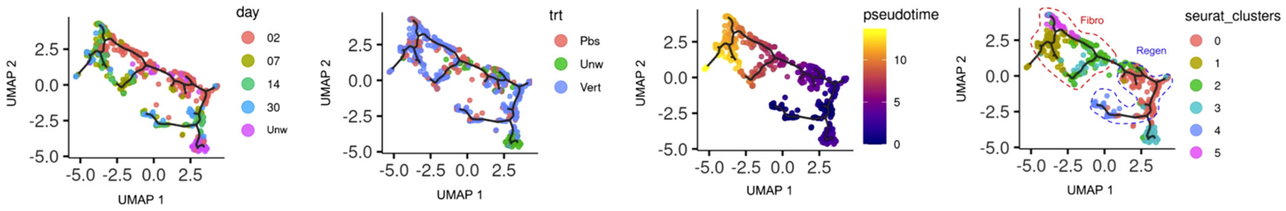 Biomedicines 11 02264 g002 Biomedicines 11 02264 g002