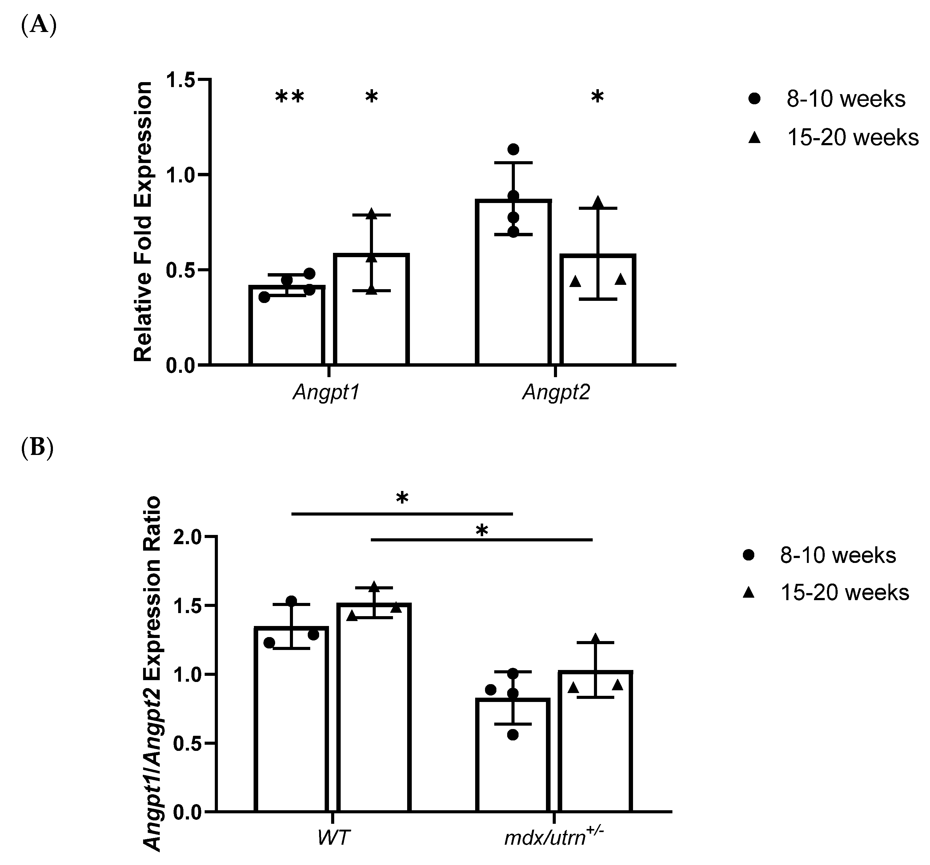 Biomedicines 11 02265 g001