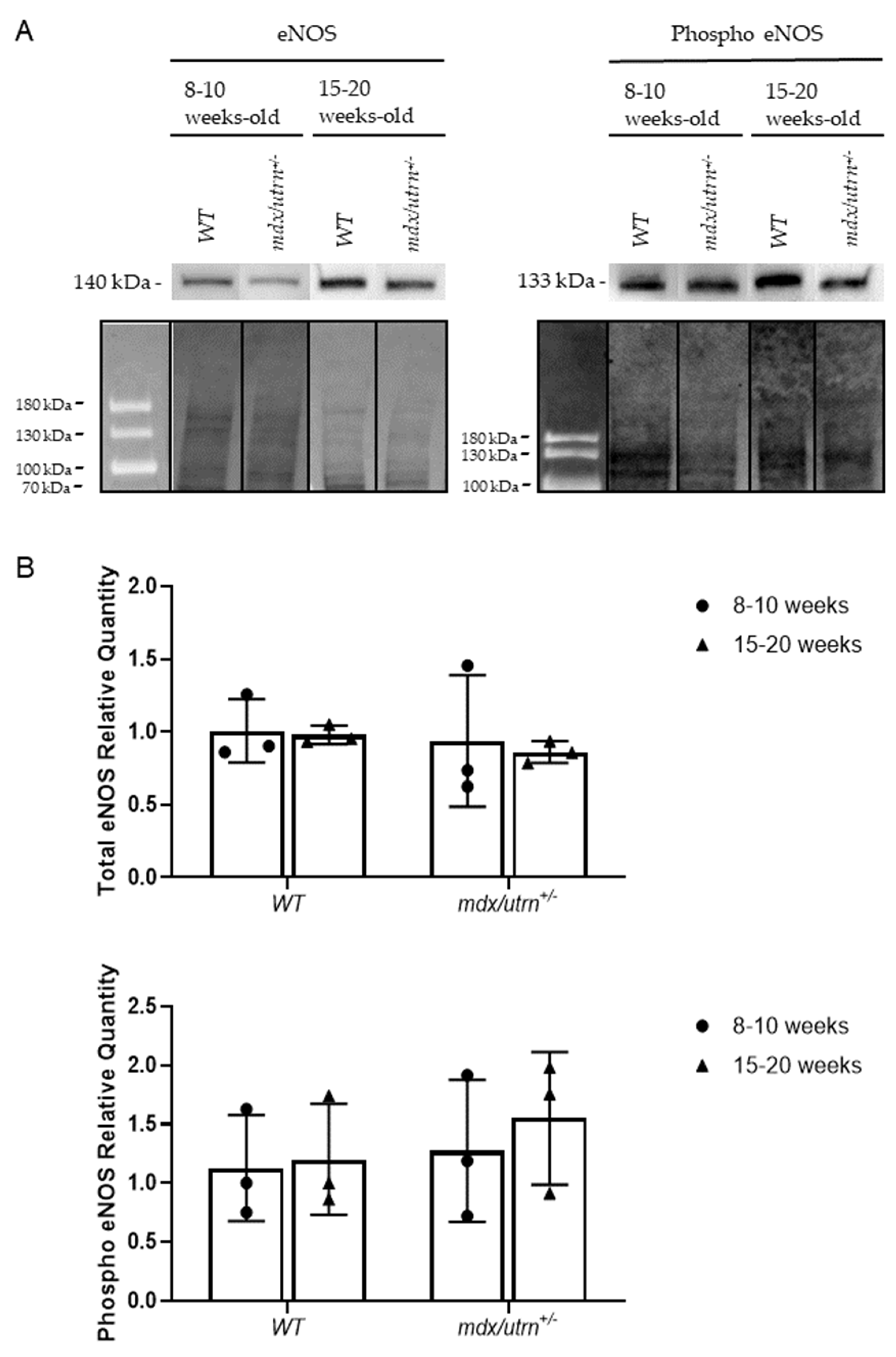 Biomedicines 11 02265 g005