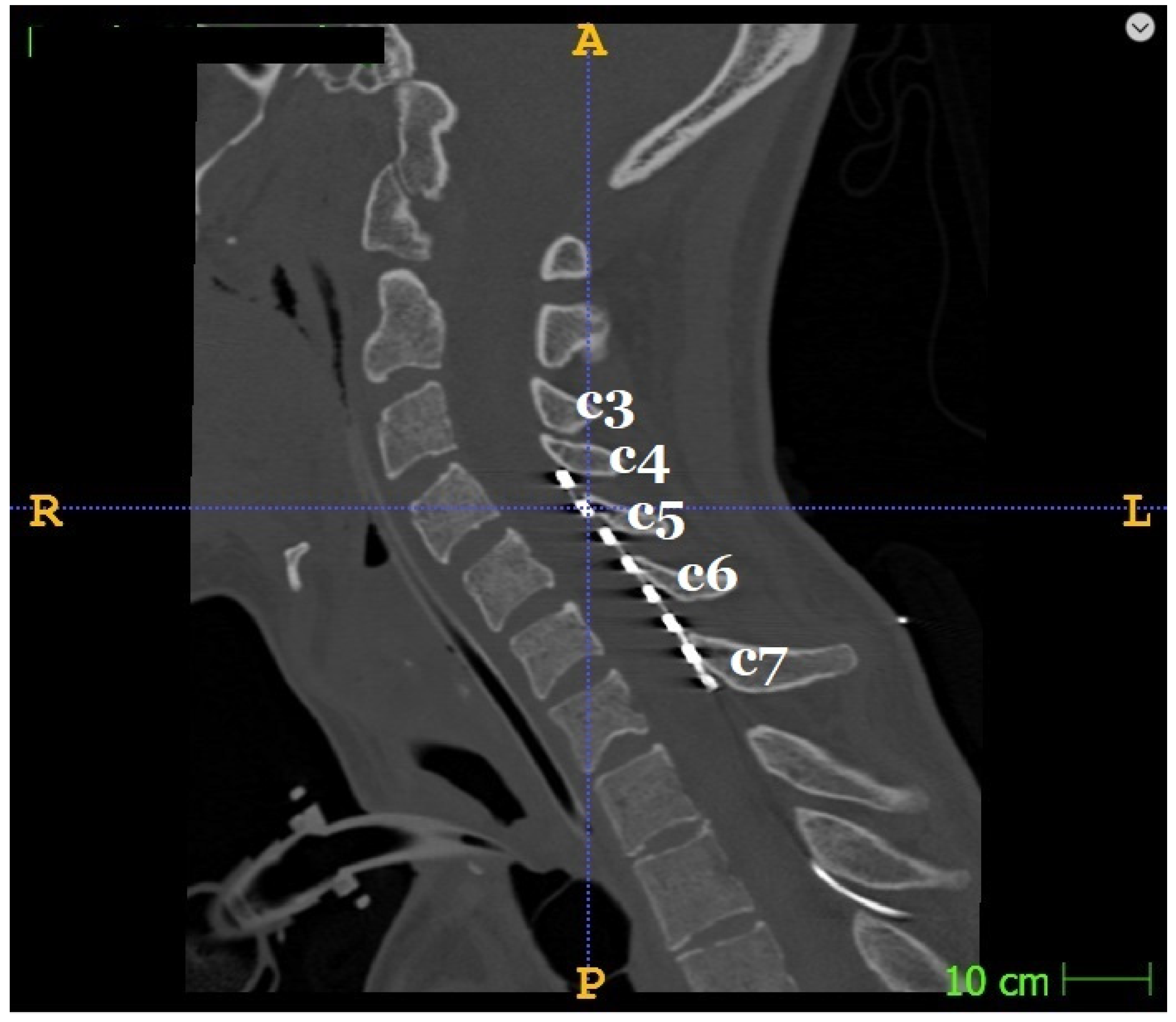 Biomedicines 11 02266 g003