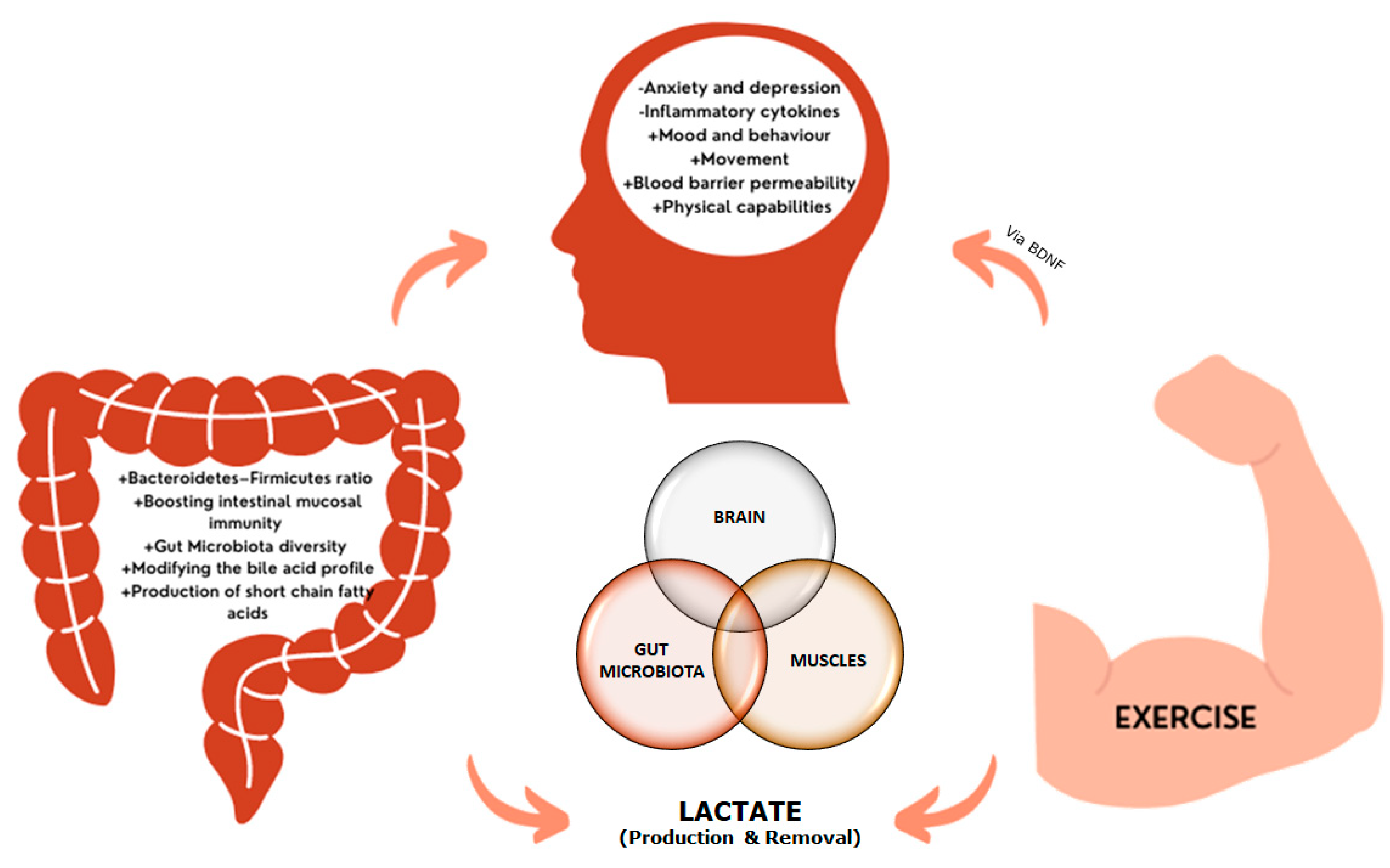 Biomedicines 11 02267 g002 Biomedicines 11 02267 g002