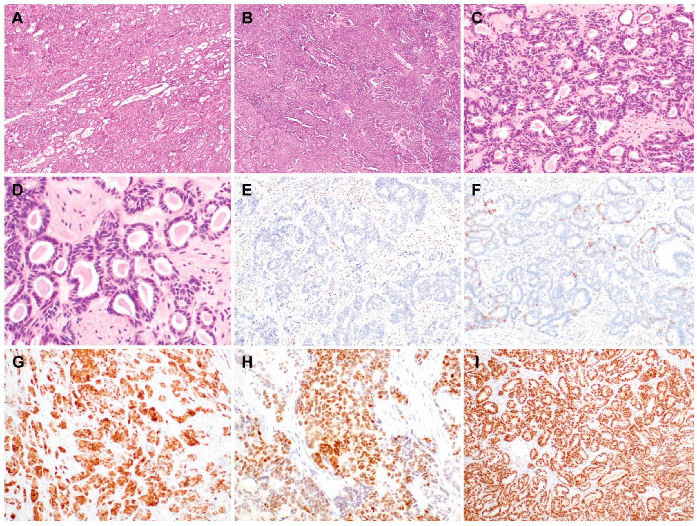 Biomedicines 11 02269 g001 Biomedicines 11 02269 g001