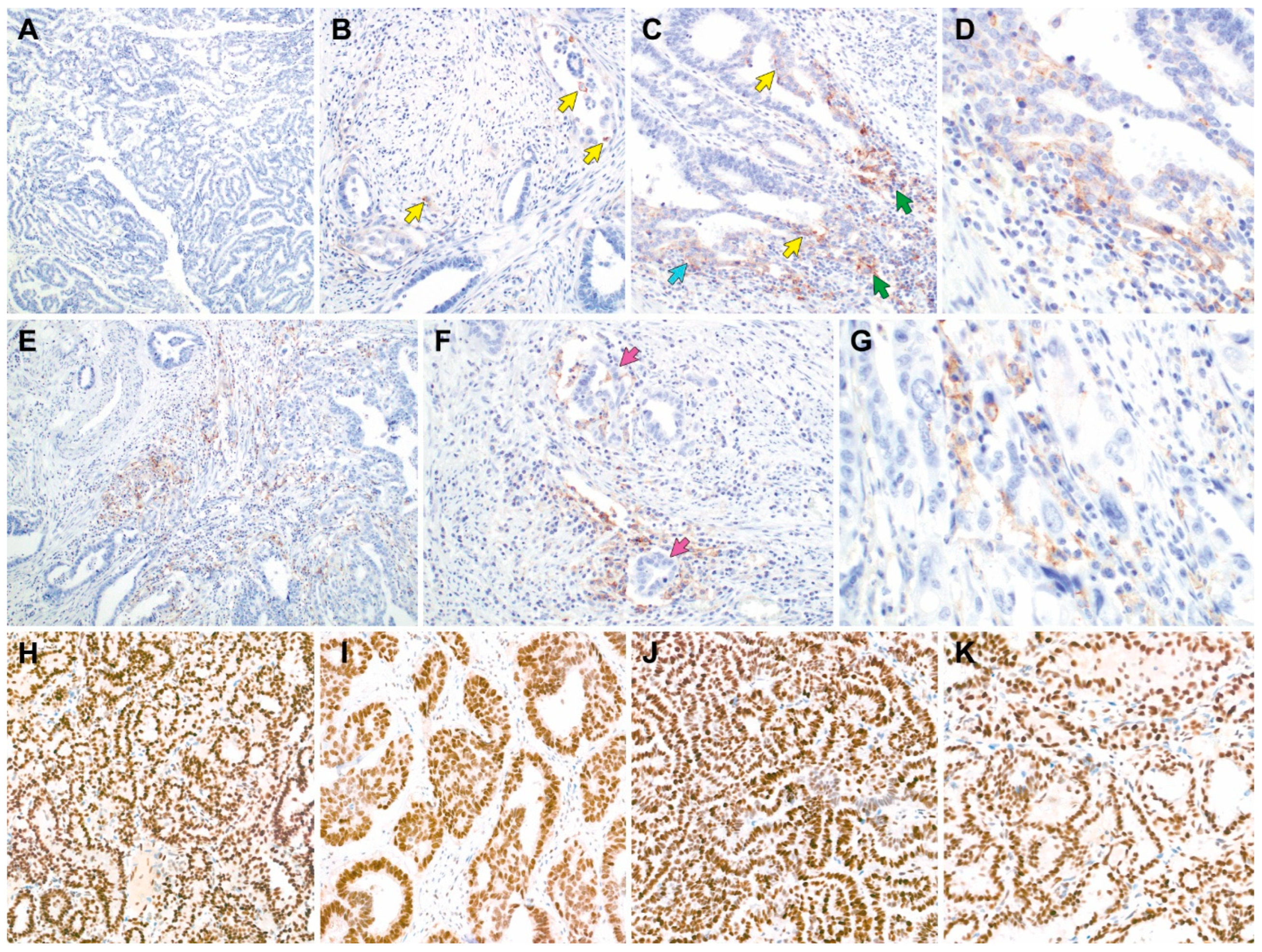 Biomedicines 11 02269 g004 Biomedicines 11 02269 g004
