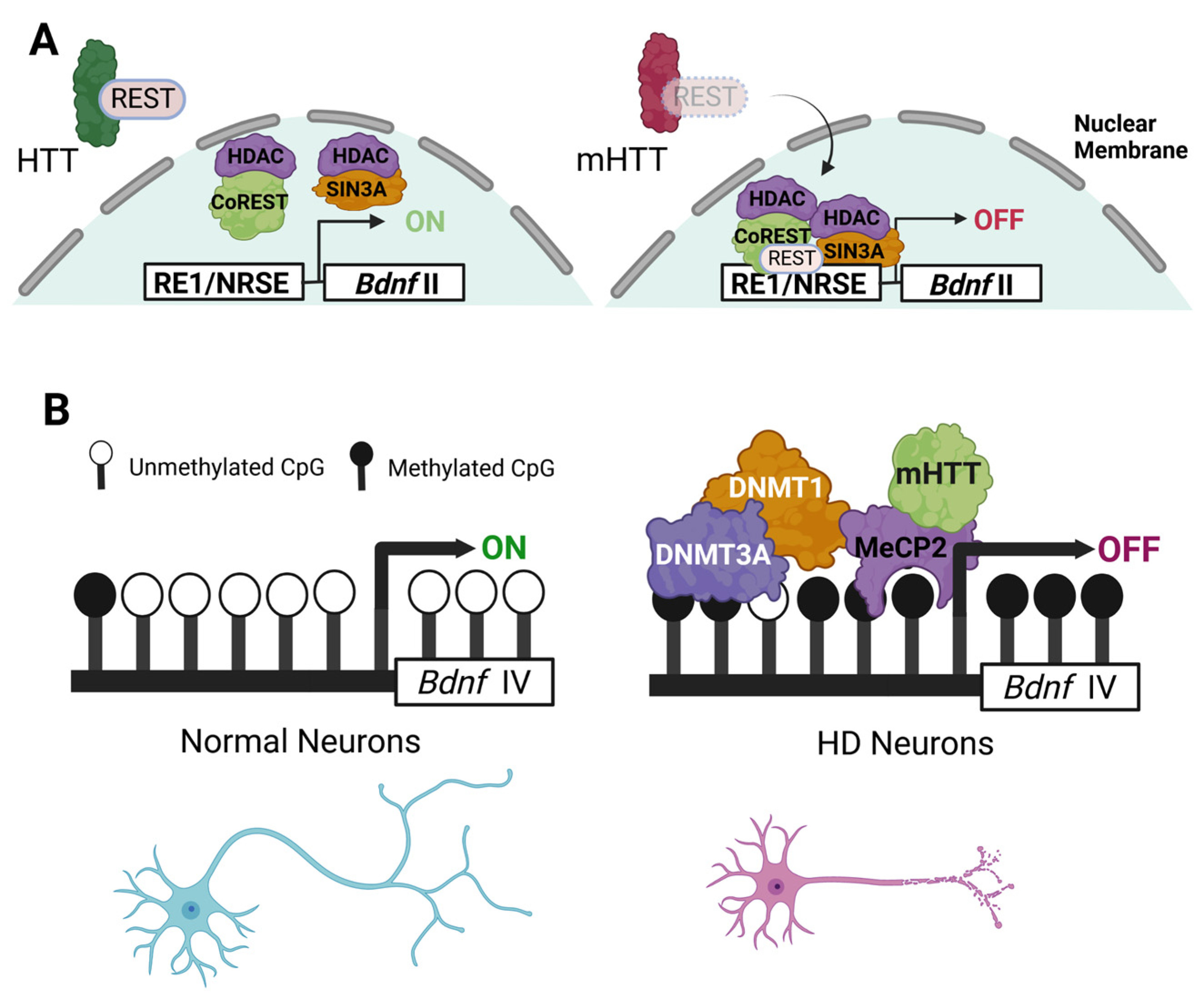 Biomedicines 11 02275 g001 Biomedicines 11 02275 g001