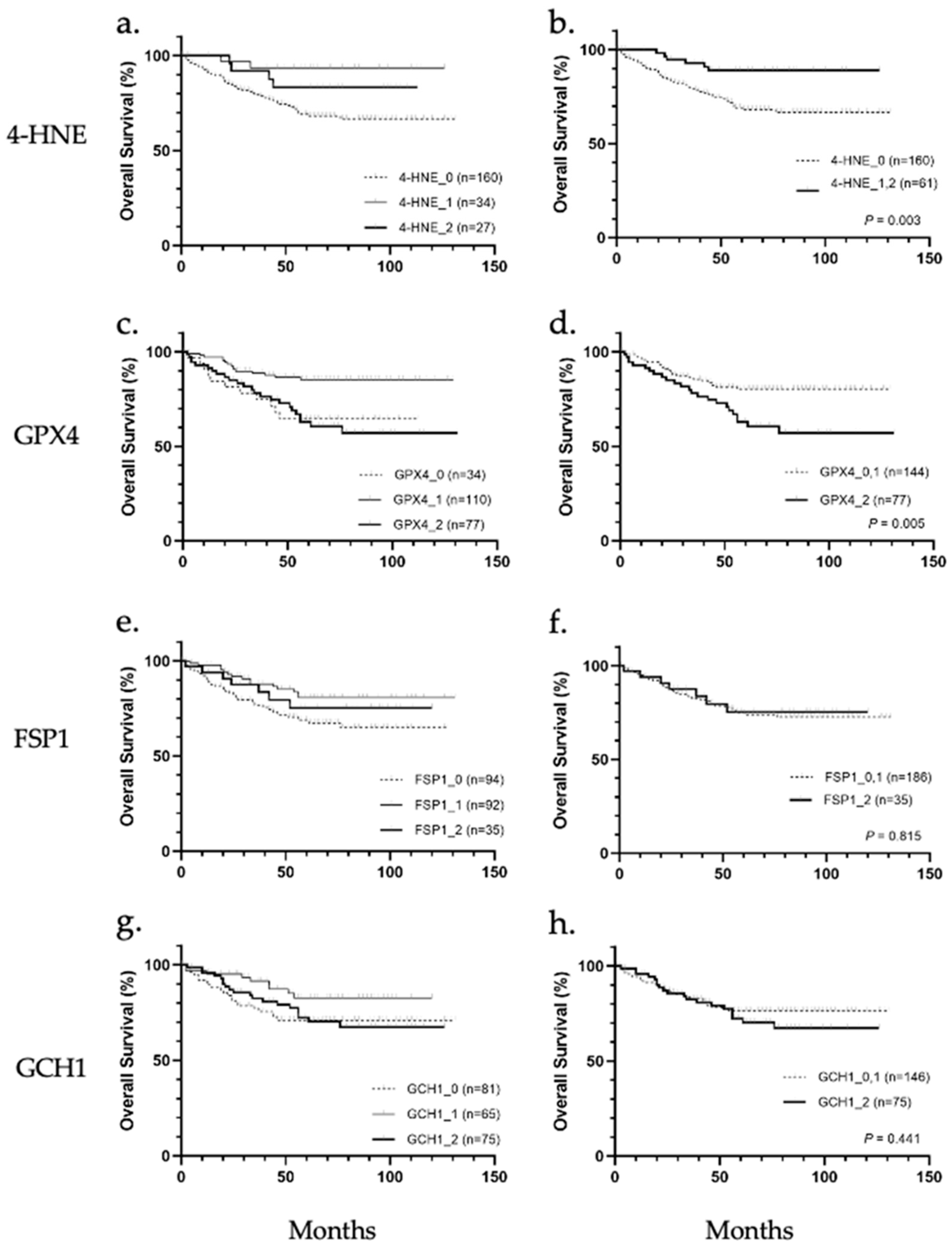 Biomedicines 11 02278 g002