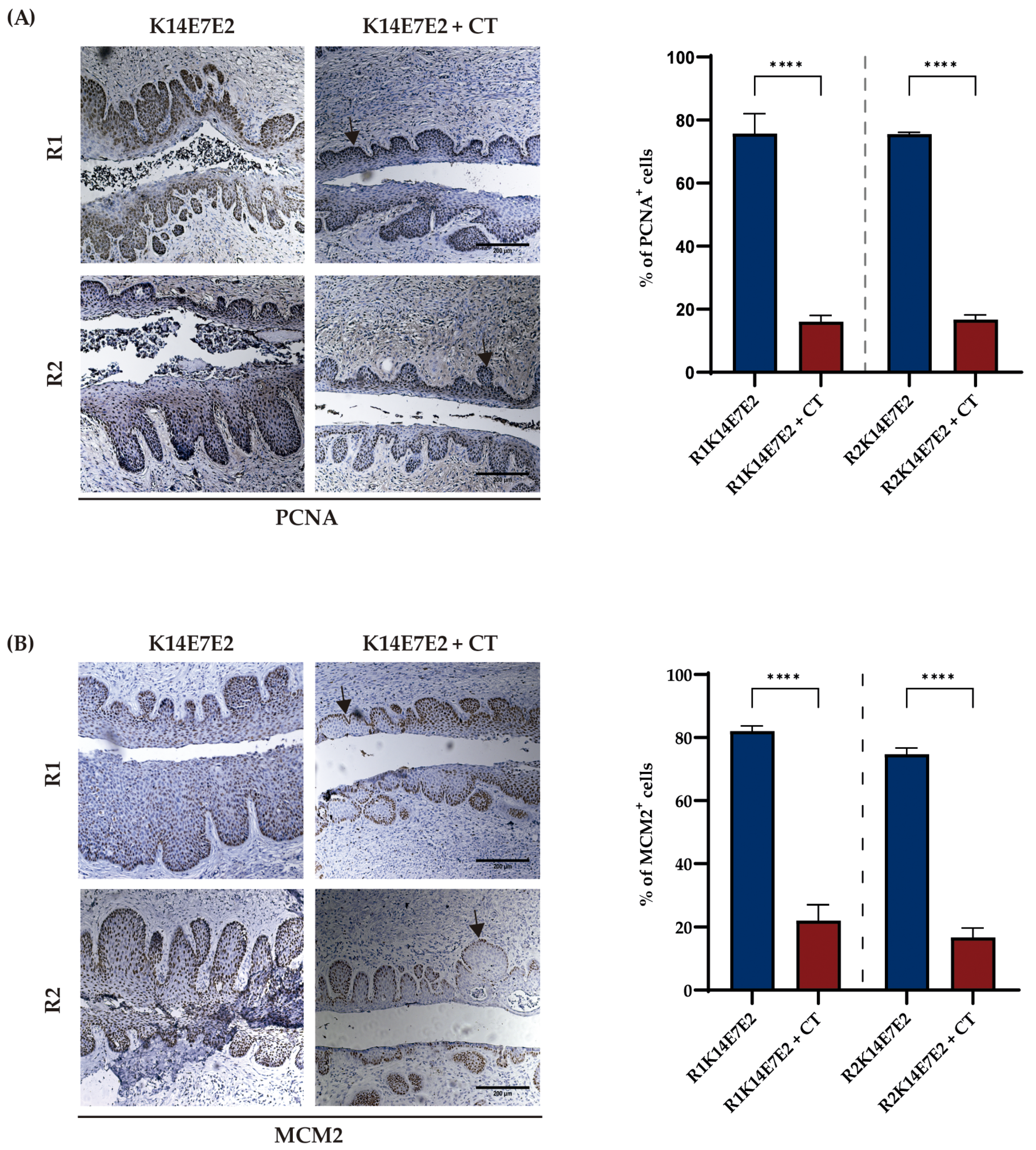 Biomedicines 11 02280 g003