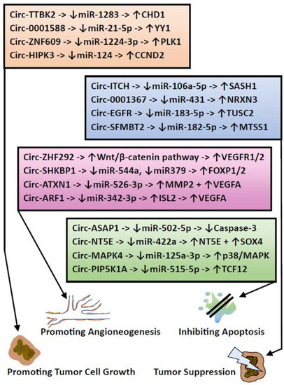 The Spectrum of Molecular Pathways in Gliomas—An Up-to-Date The Spectrum of Molecular Pathways in Gliomas—An Up-to-Date