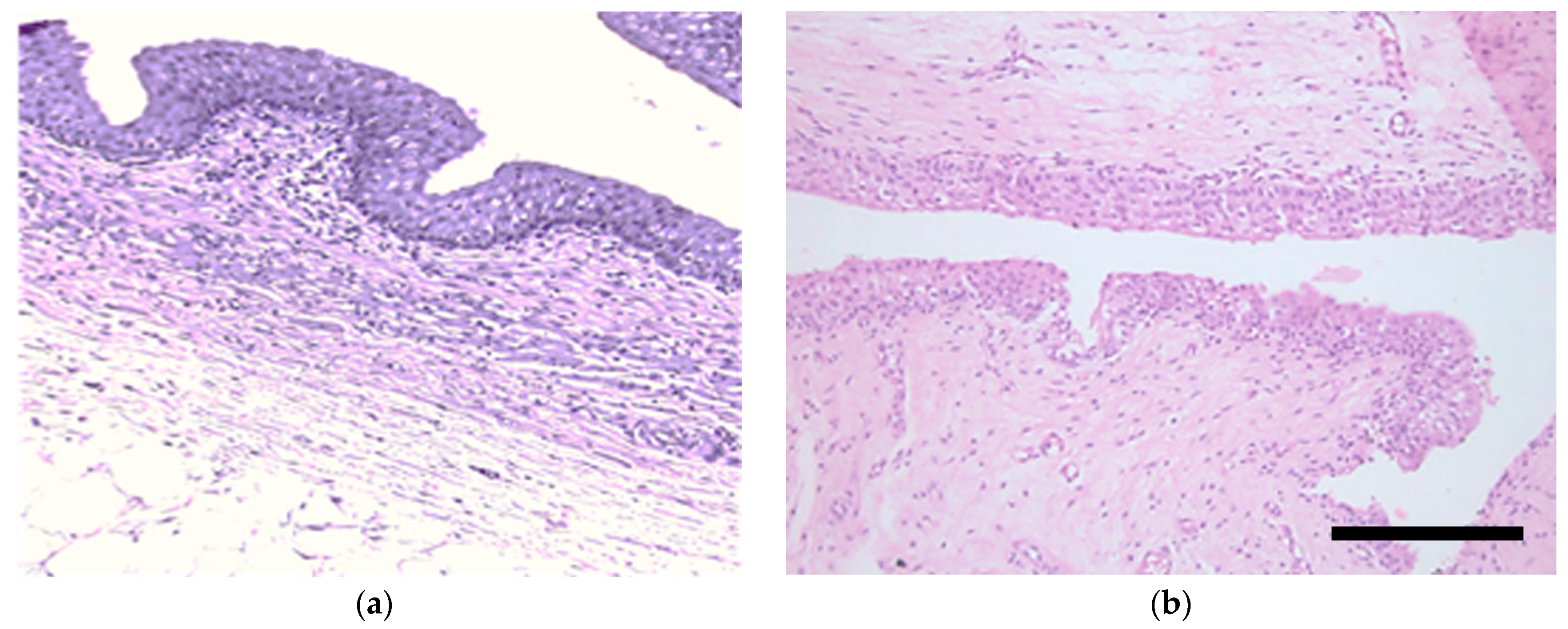 Biomedicines 11 02283 g002 Biomedicines 11 02283 g002