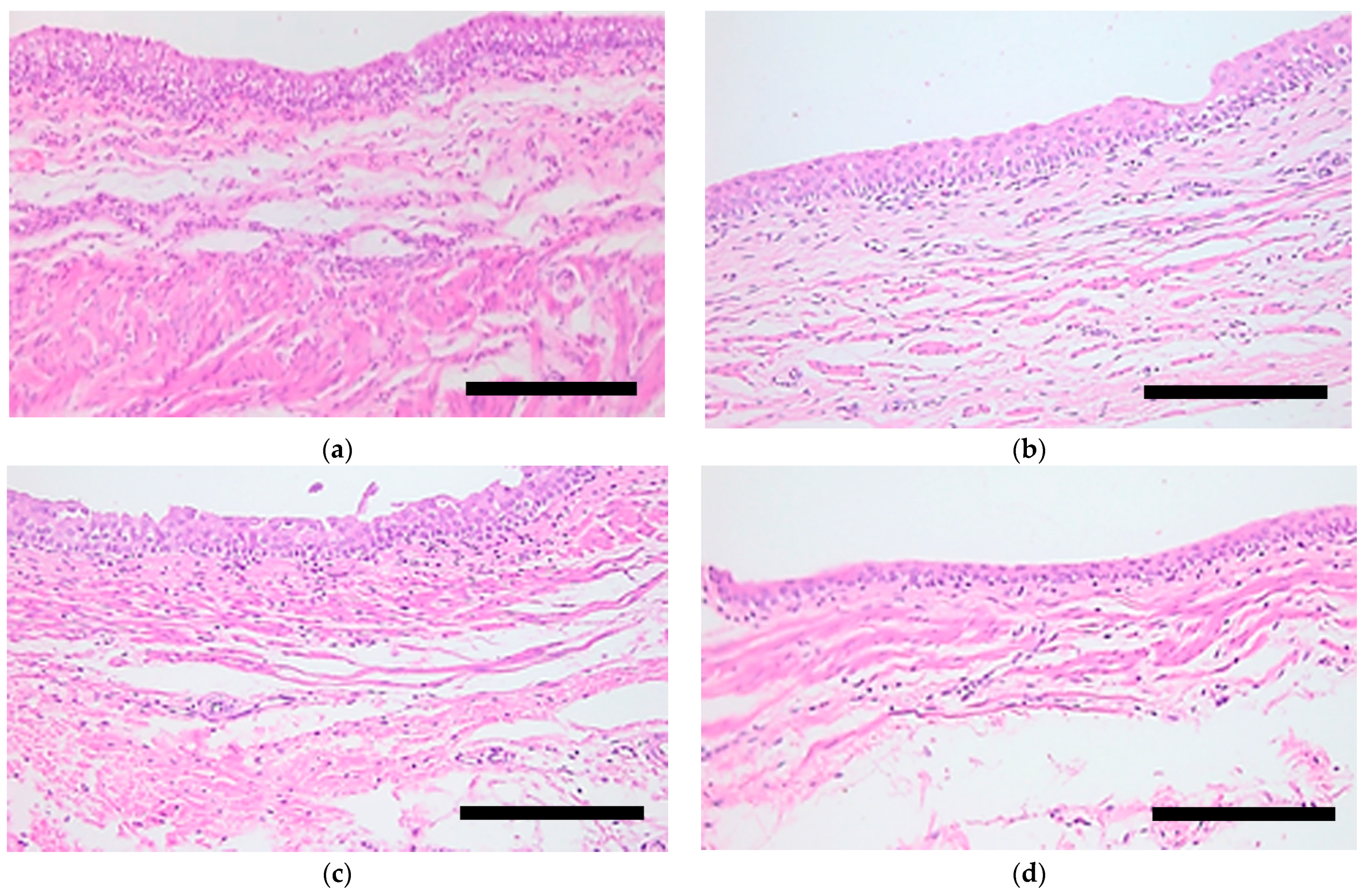 Biomedicines 11 02283 g003 Biomedicines 11 02283 g003