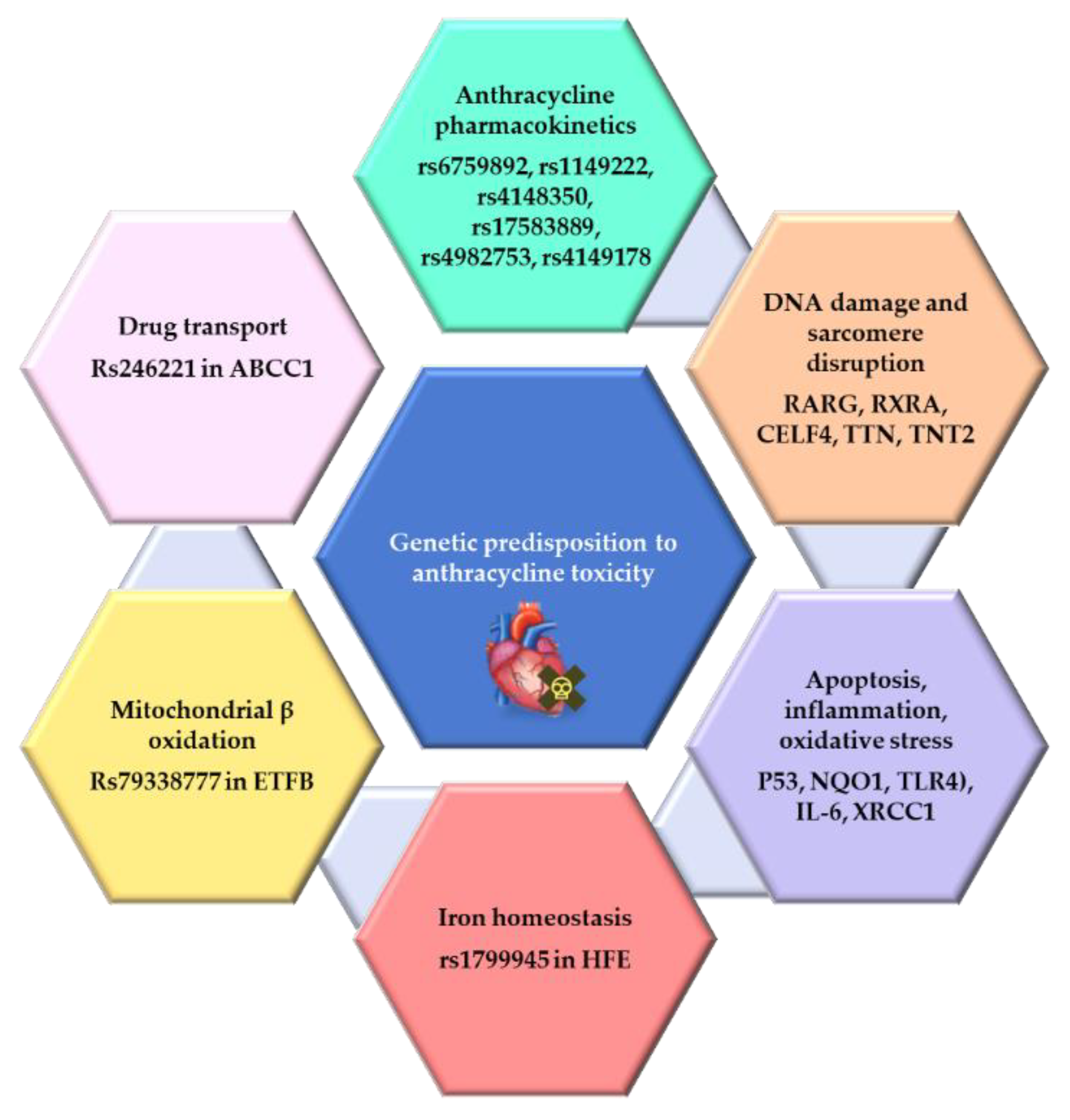 Biomedicines 11 02286 g002