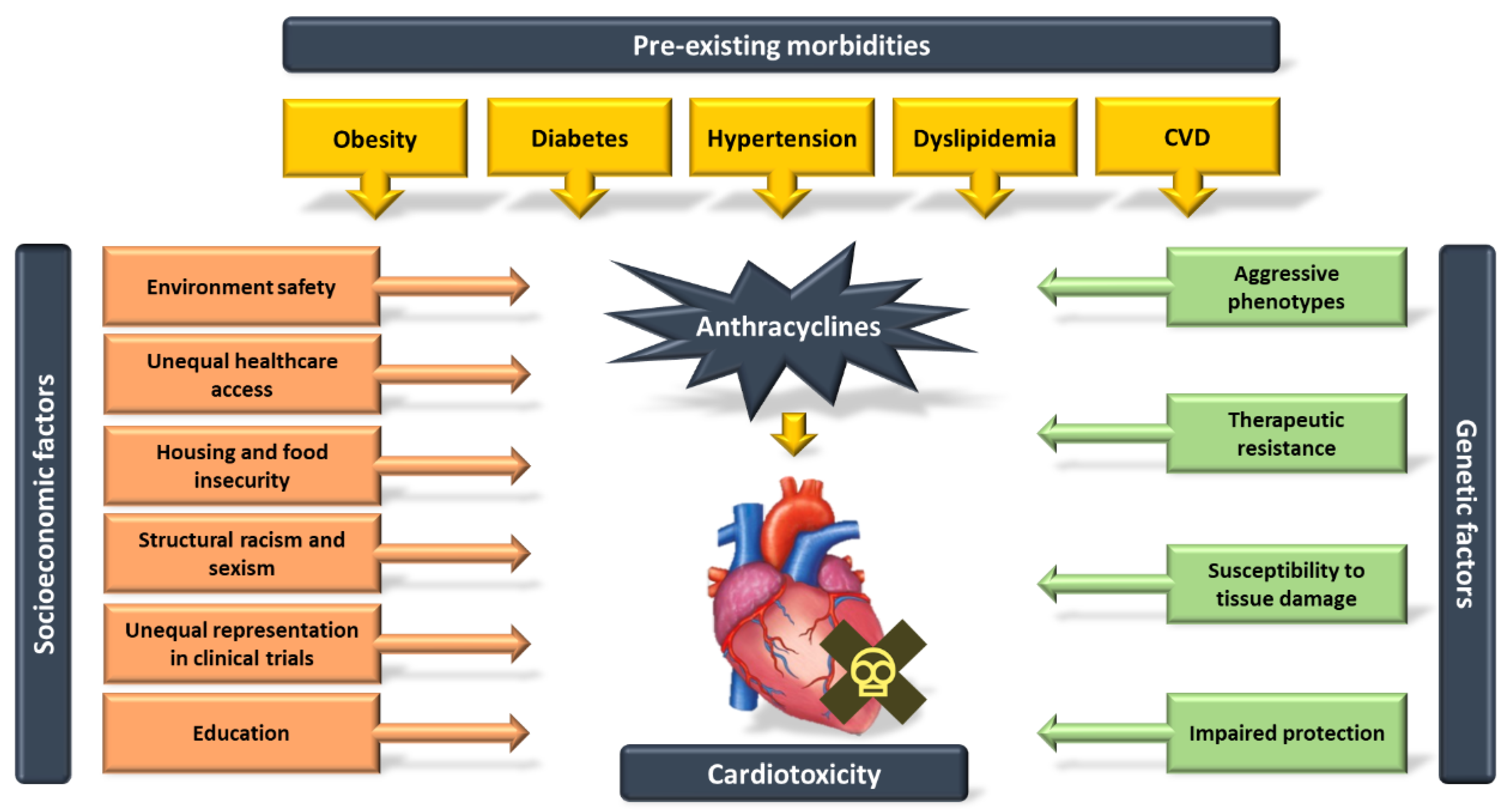 Biomedicines 11 02286 g003