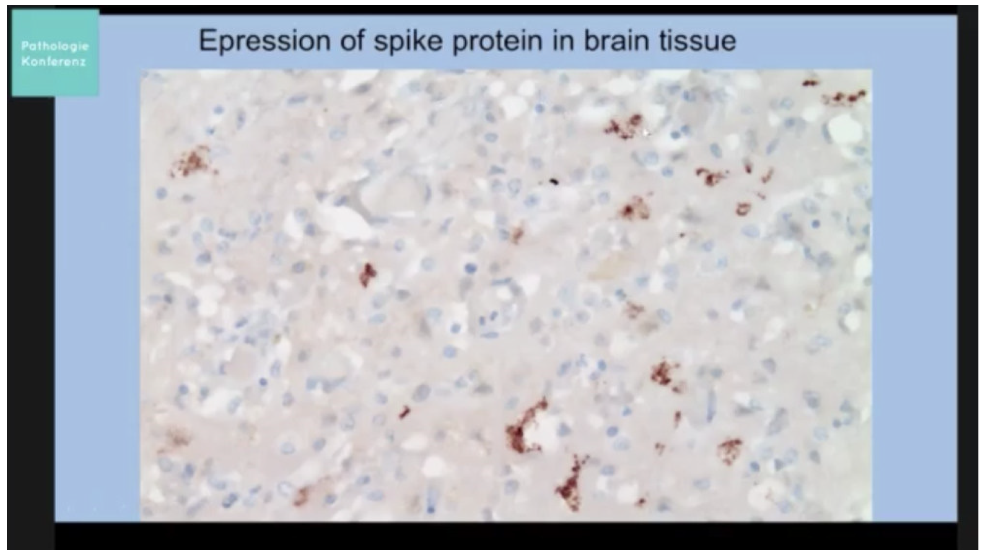 Biomedicines 11 02287 g010