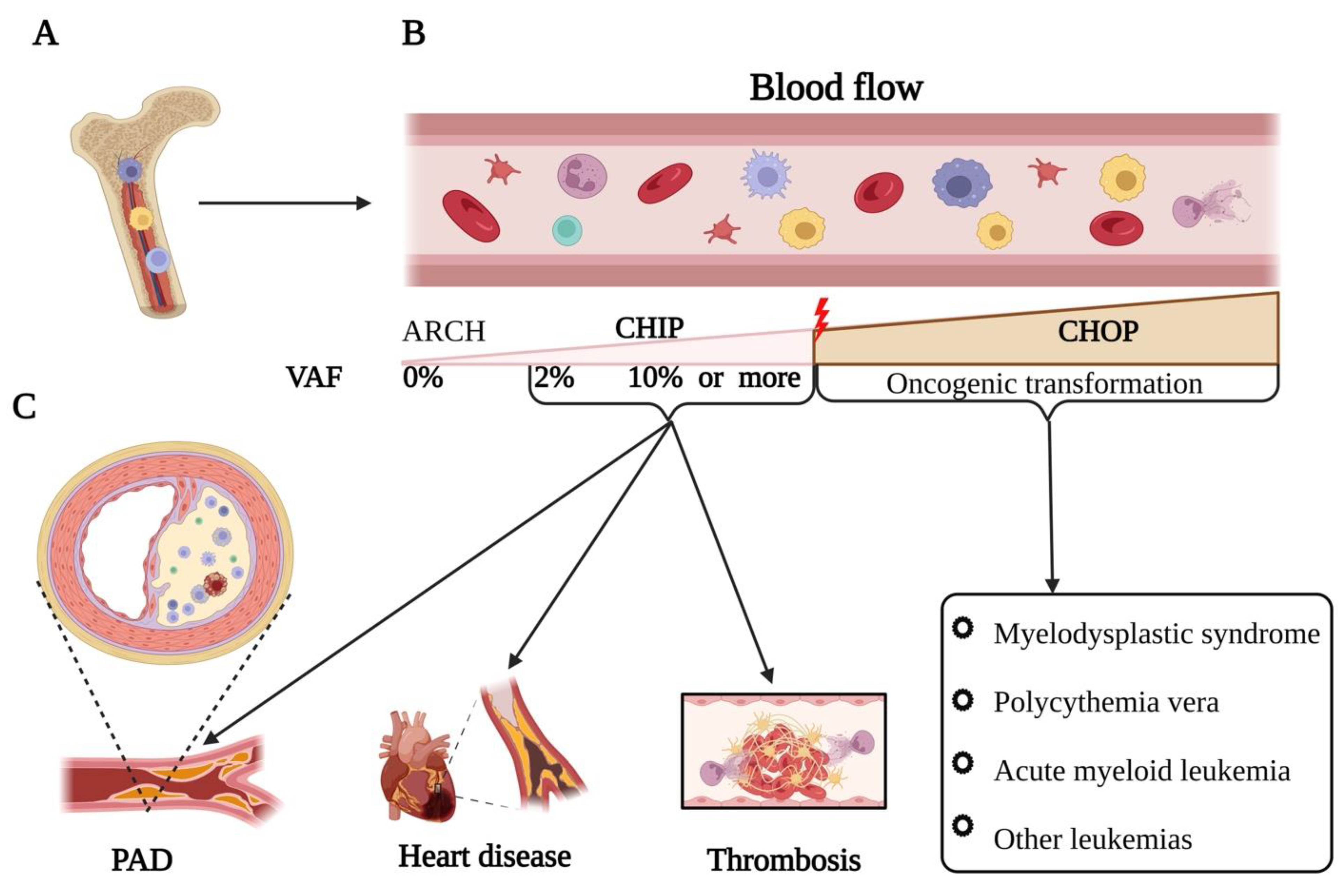 Biomedicines 11 02288 g001 Biomedicines 11 02288 g001