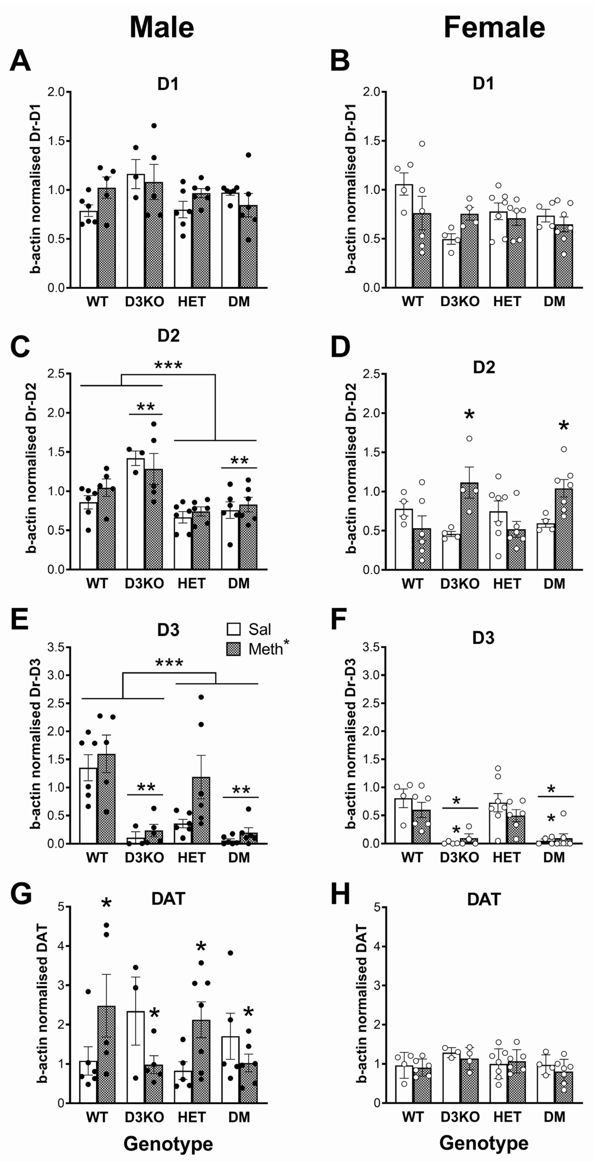 Biomedicines 11 02290 g004