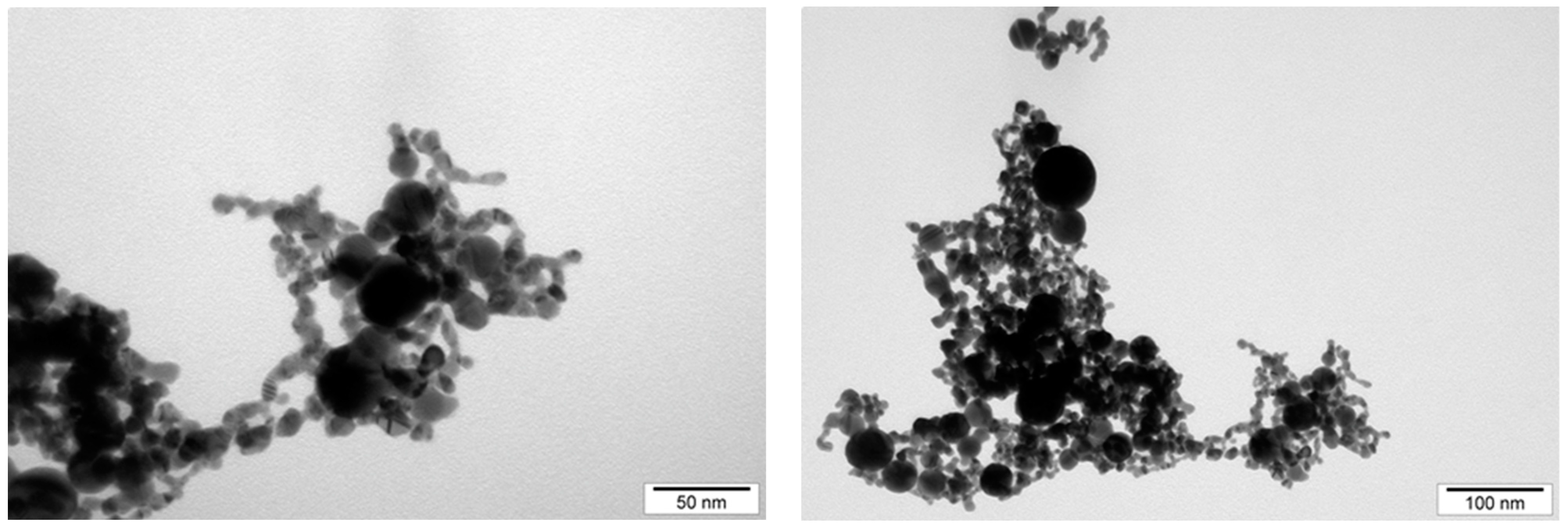 Biomedicines 11 02291 g002