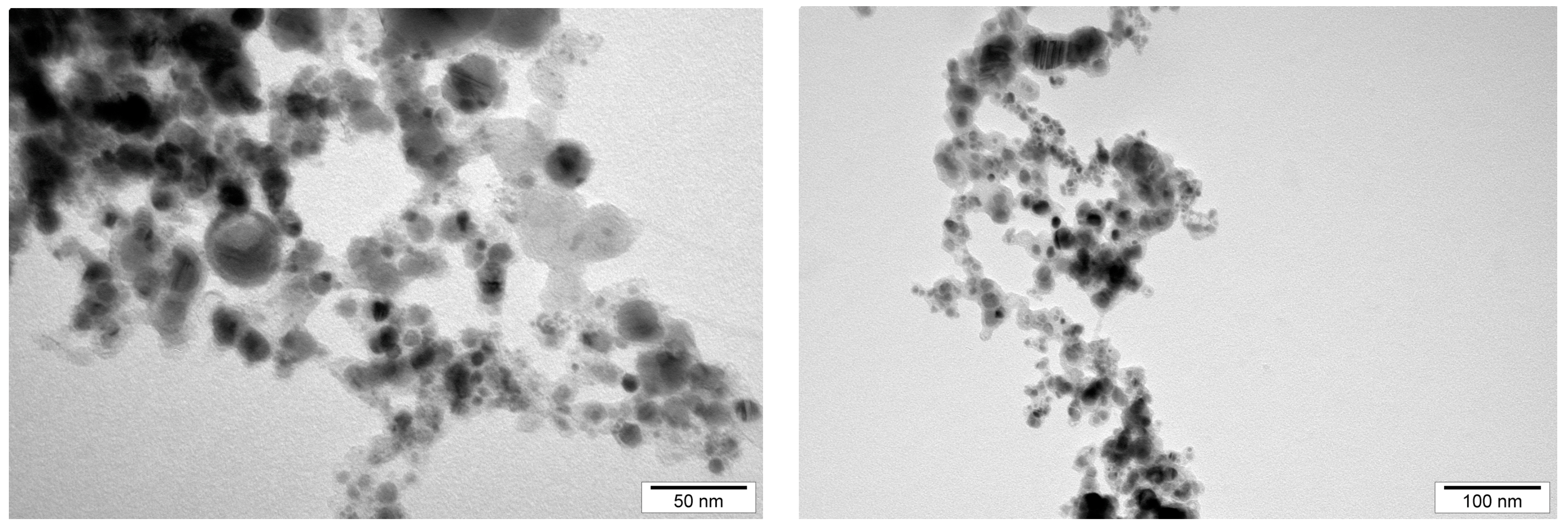 Biomedicines 11 02291 g003