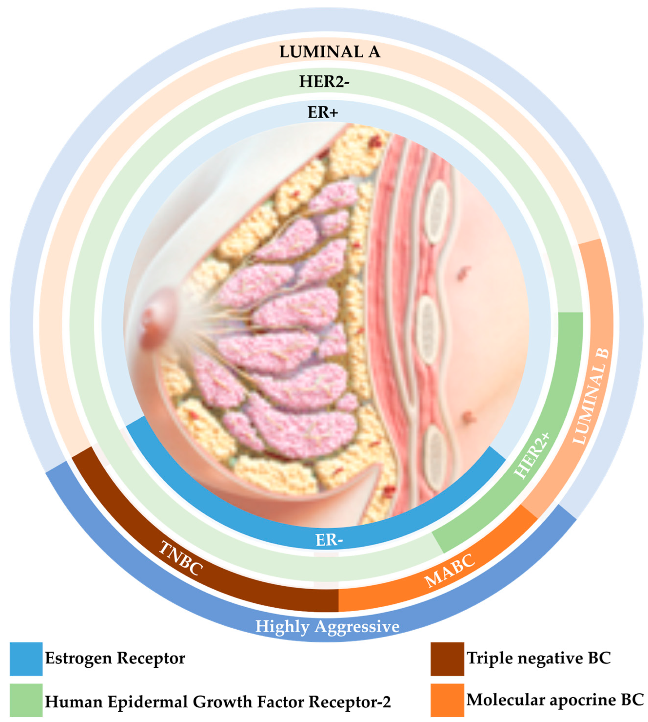 Biomedicines 11 02300 g001 Biomedicines 11 02300 g001