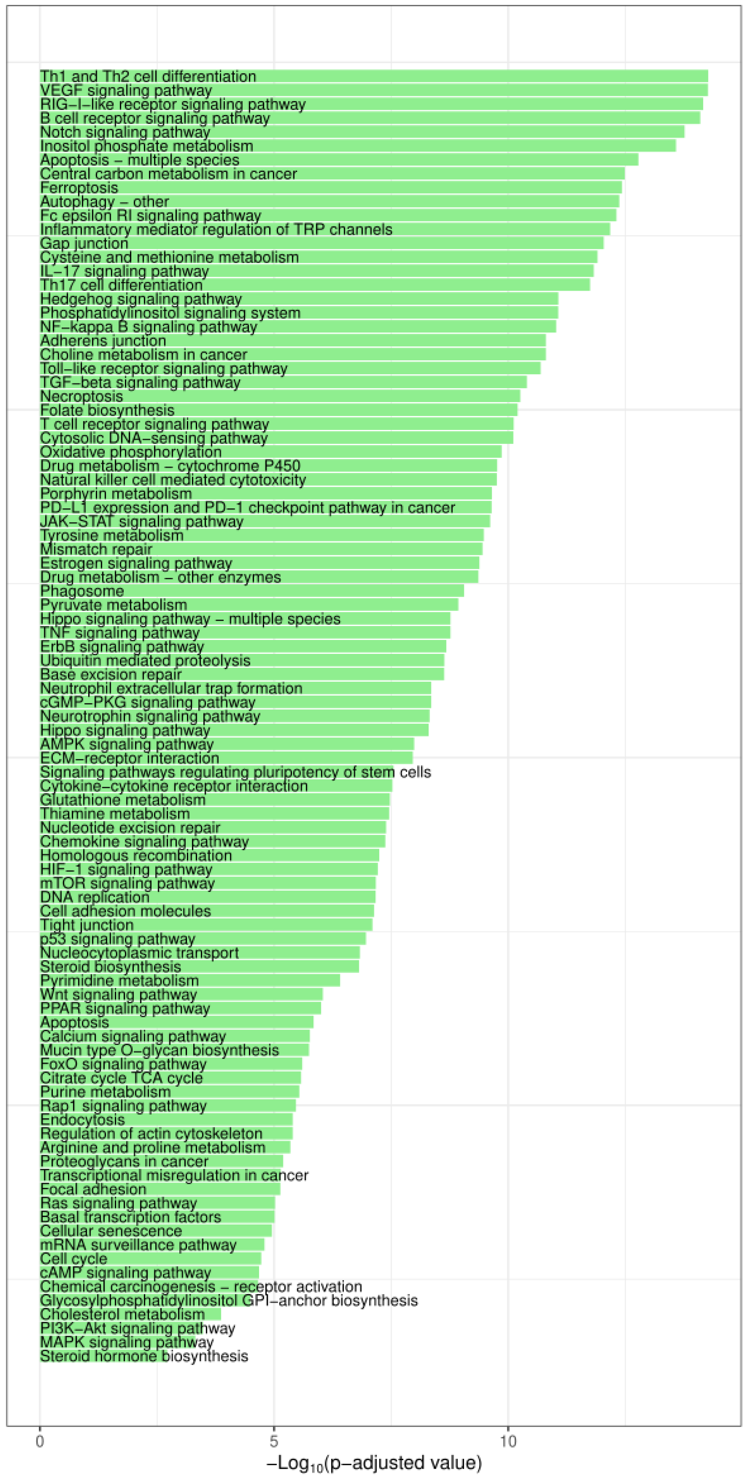 Biomedicines 11 02300 g002 Biomedicines 11 02300 g002