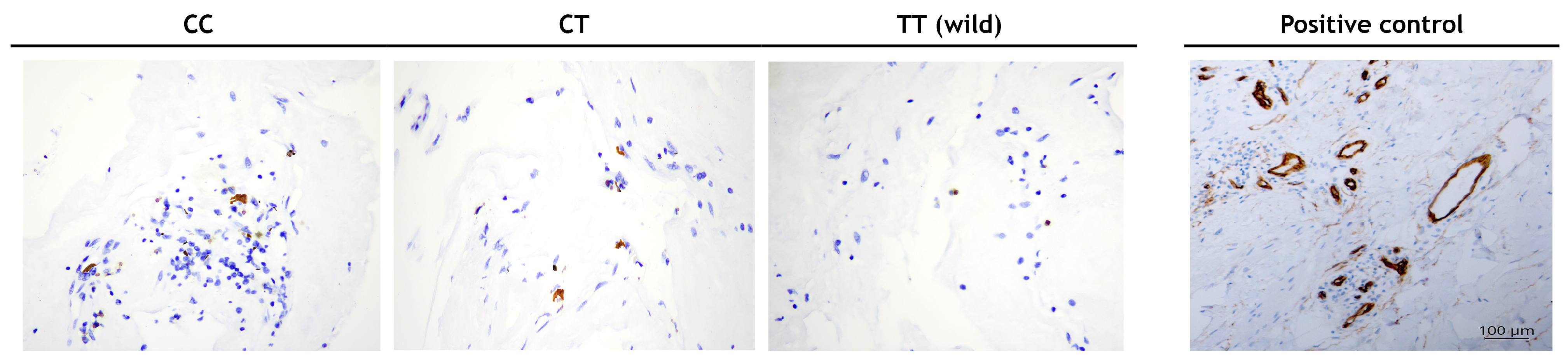 Biomedicines 11 02303 g001