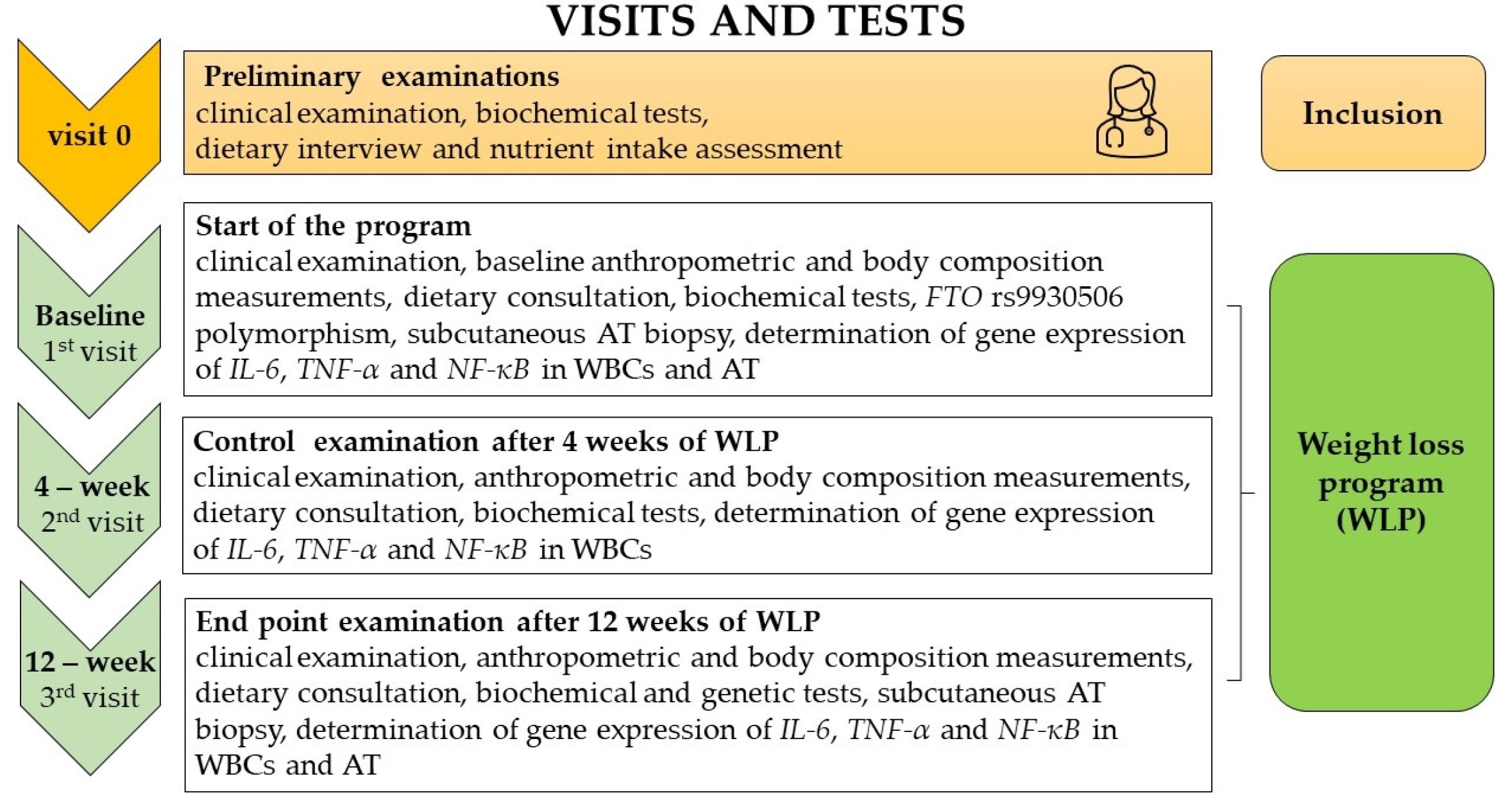 Biomedicines 11 02304 g001