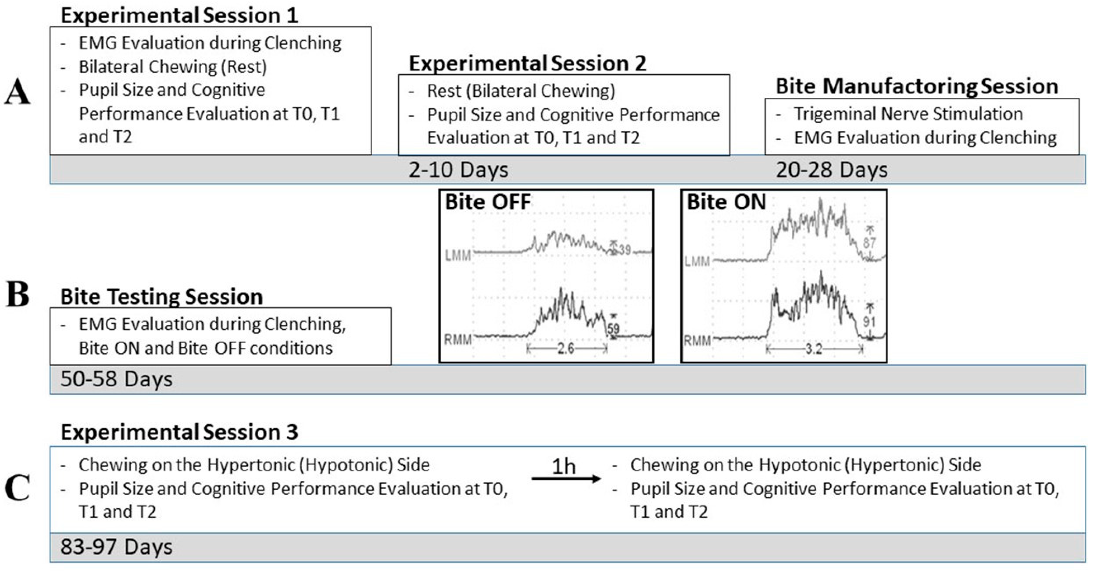 Biomedicines 11 02307 g001