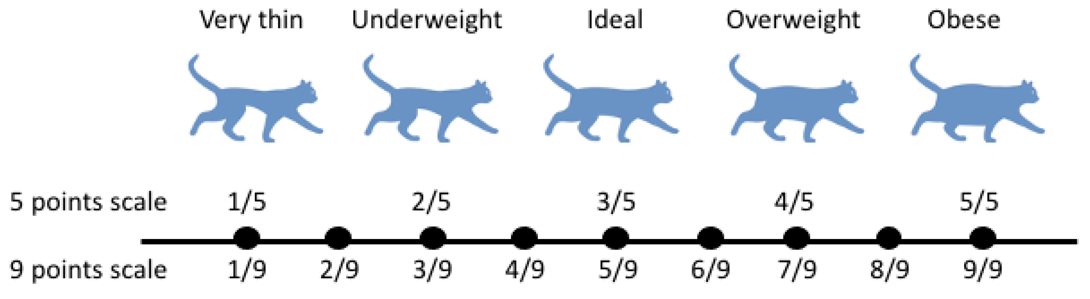 Biomedicines 11 02309 g001
