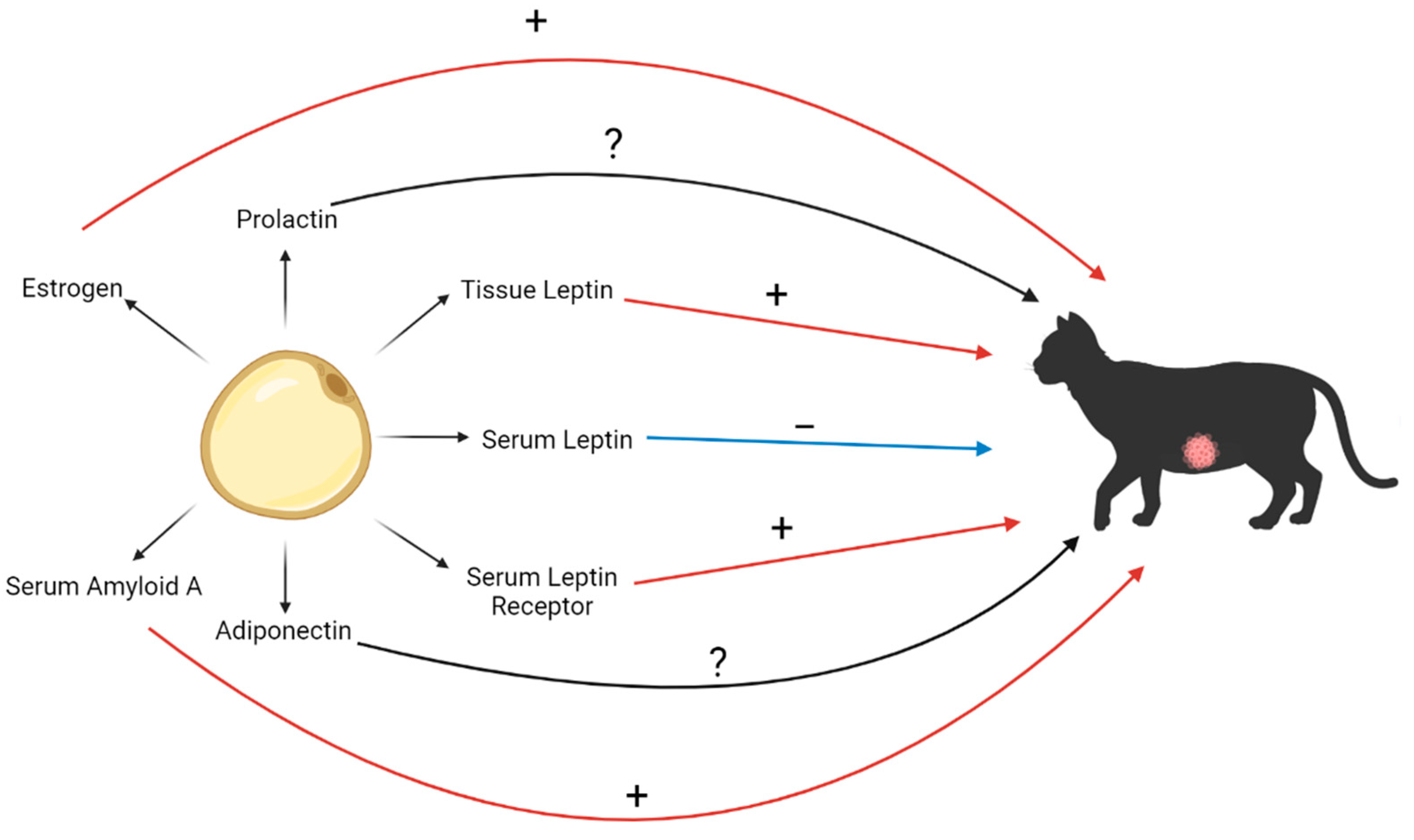 Biomedicines 11 02309 g002