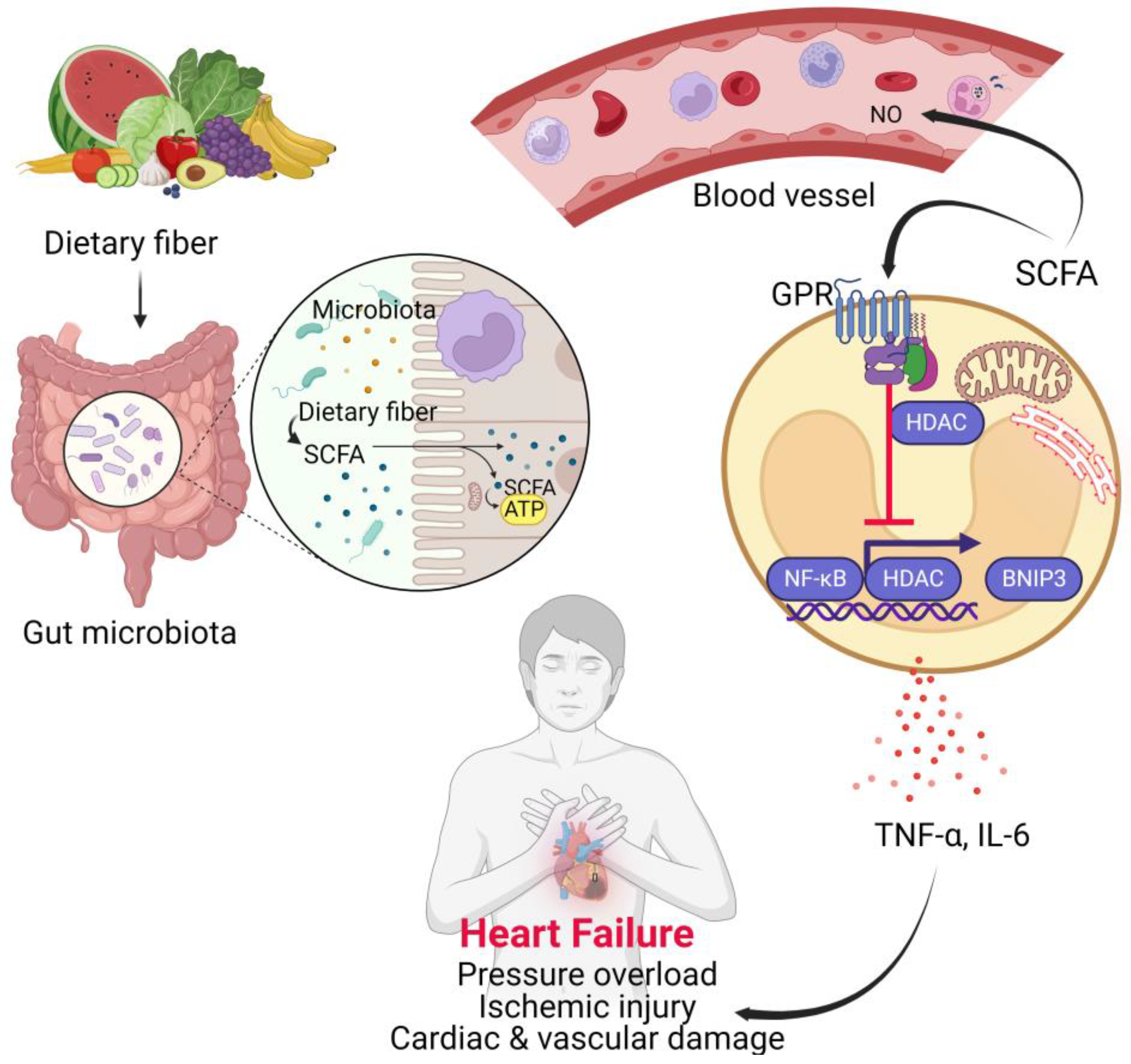 Biomedicines 11 02313 g001 Biomedicines 11 02313 g001