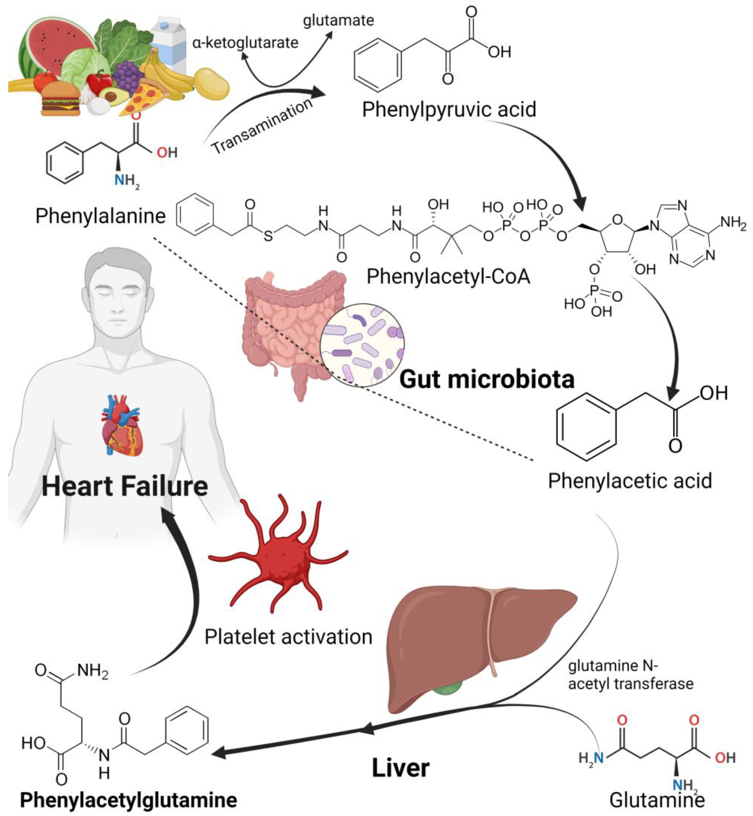 Biomedicines 11 02313 g003 Biomedicines 11 02313 g003