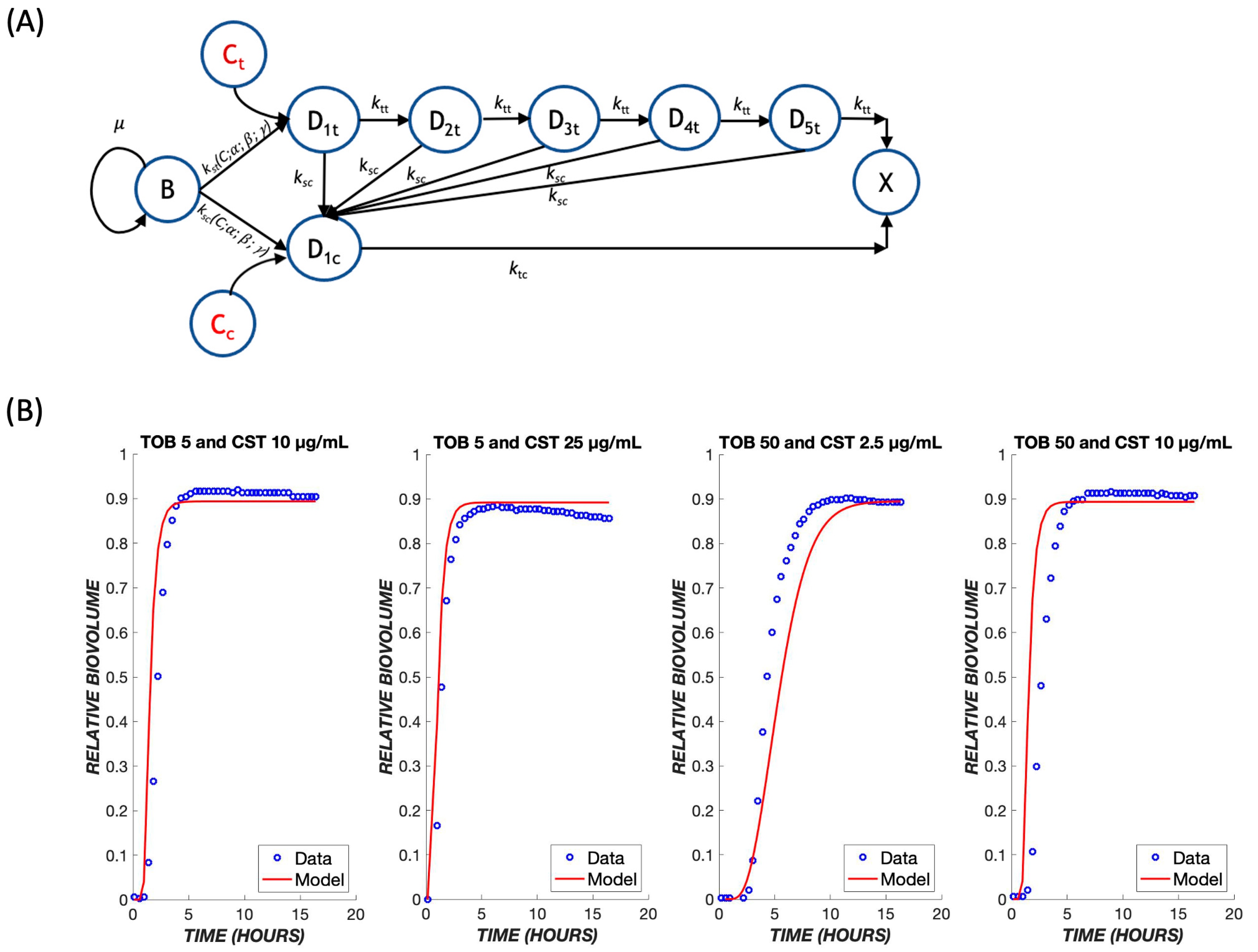 Biomedicines 11 02316 g008