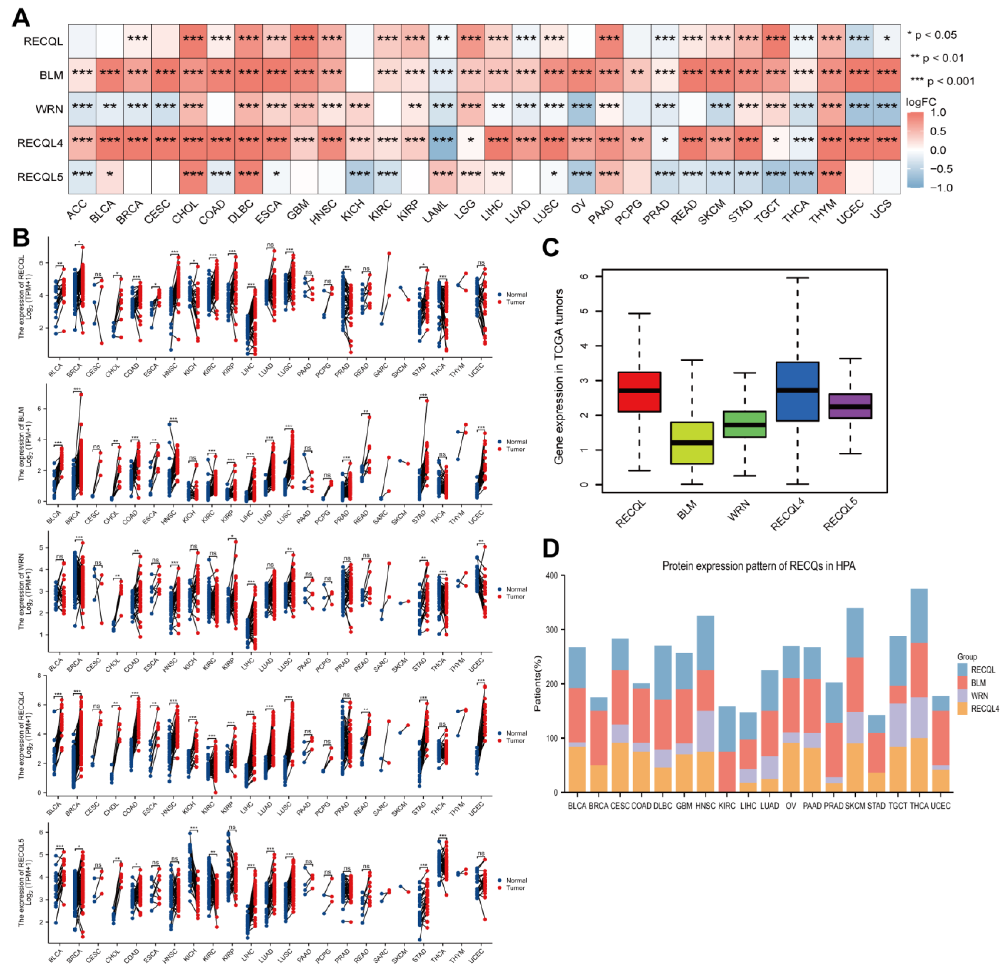Biomedicines 11 02318 g002 Biomedicines 11 02318 g002
