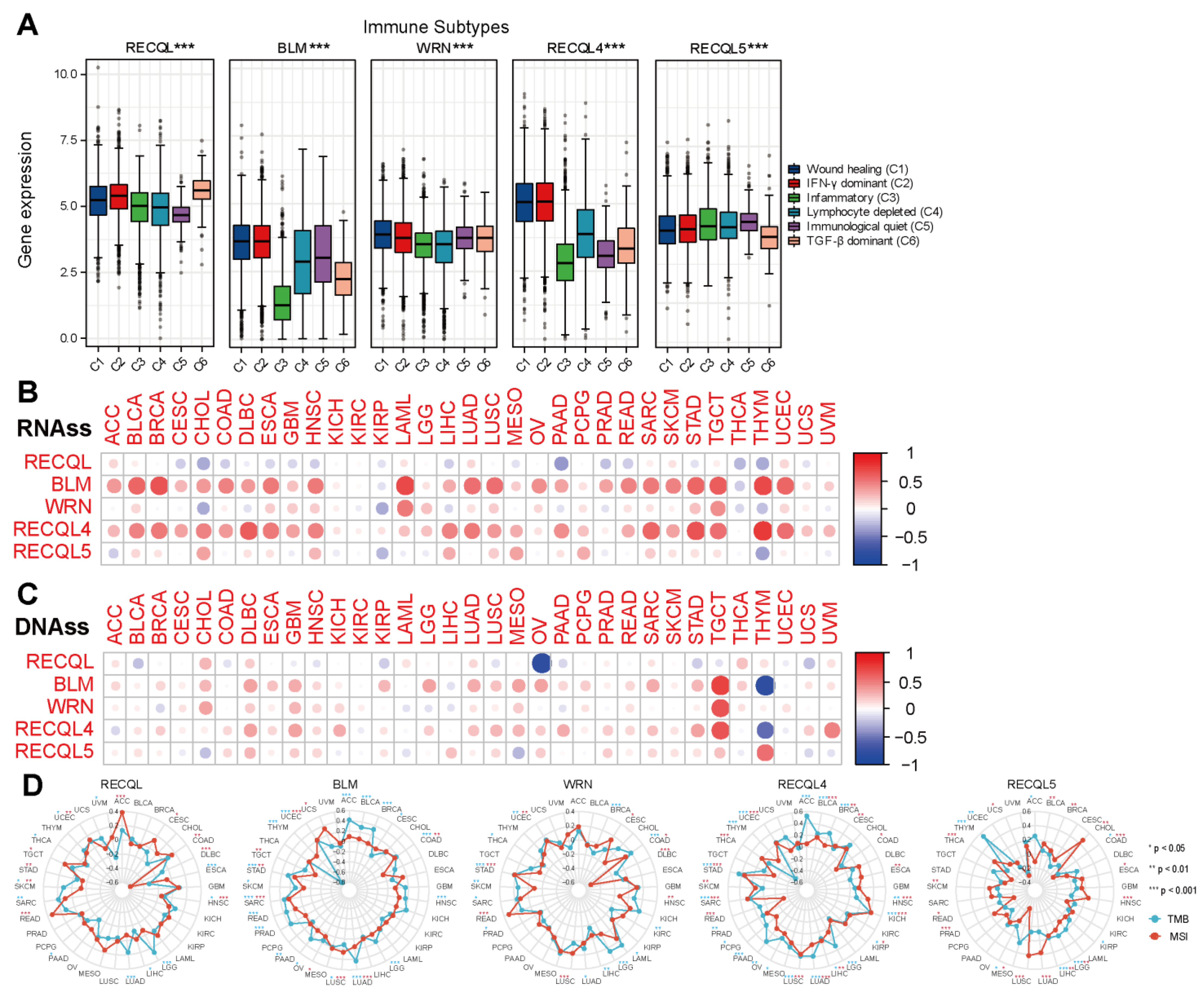 Biomedicines 11 02318 g005 Biomedicines 11 02318 g005