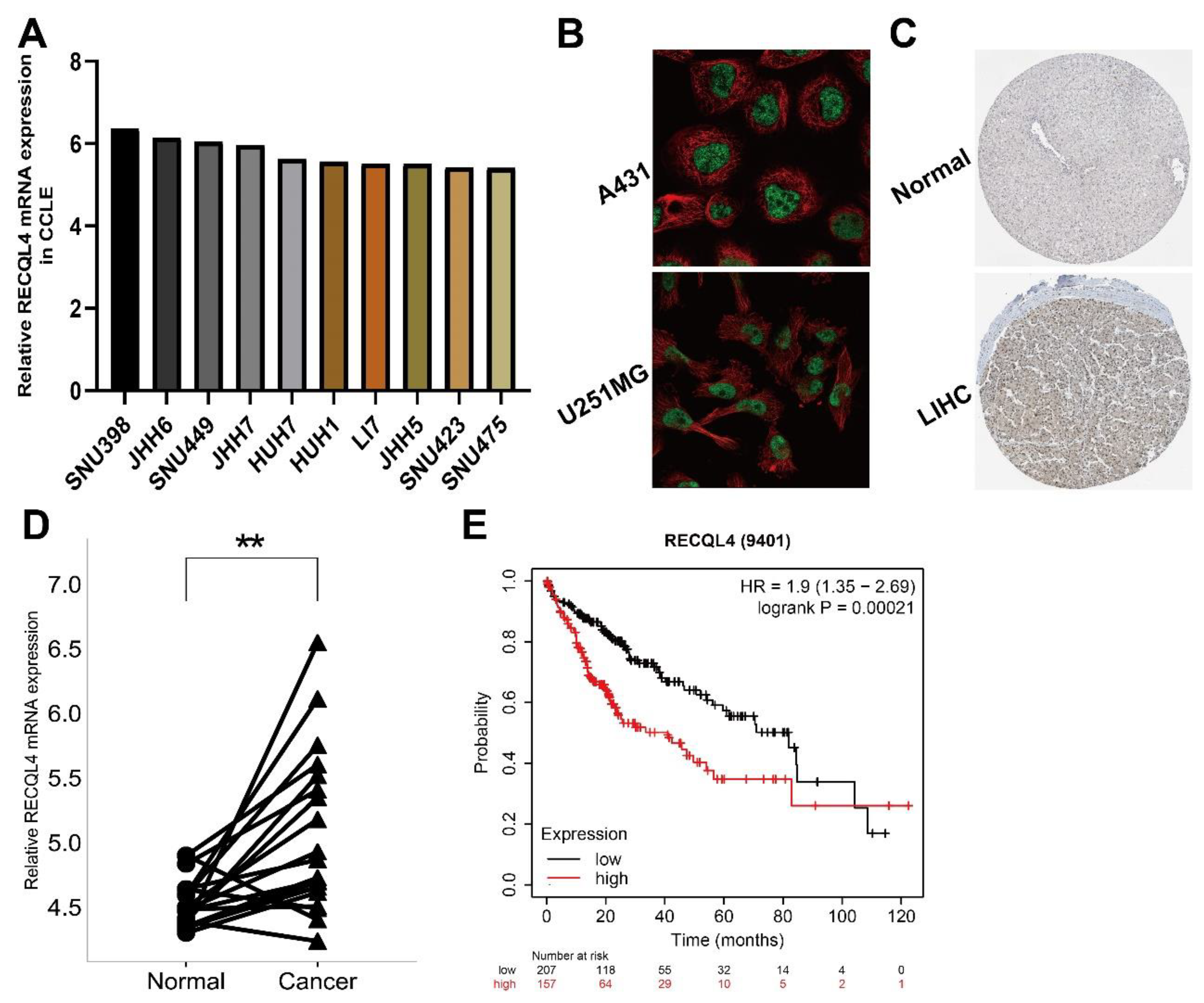 Biomedicines 11 02318 g007 Biomedicines 11 02318 g007