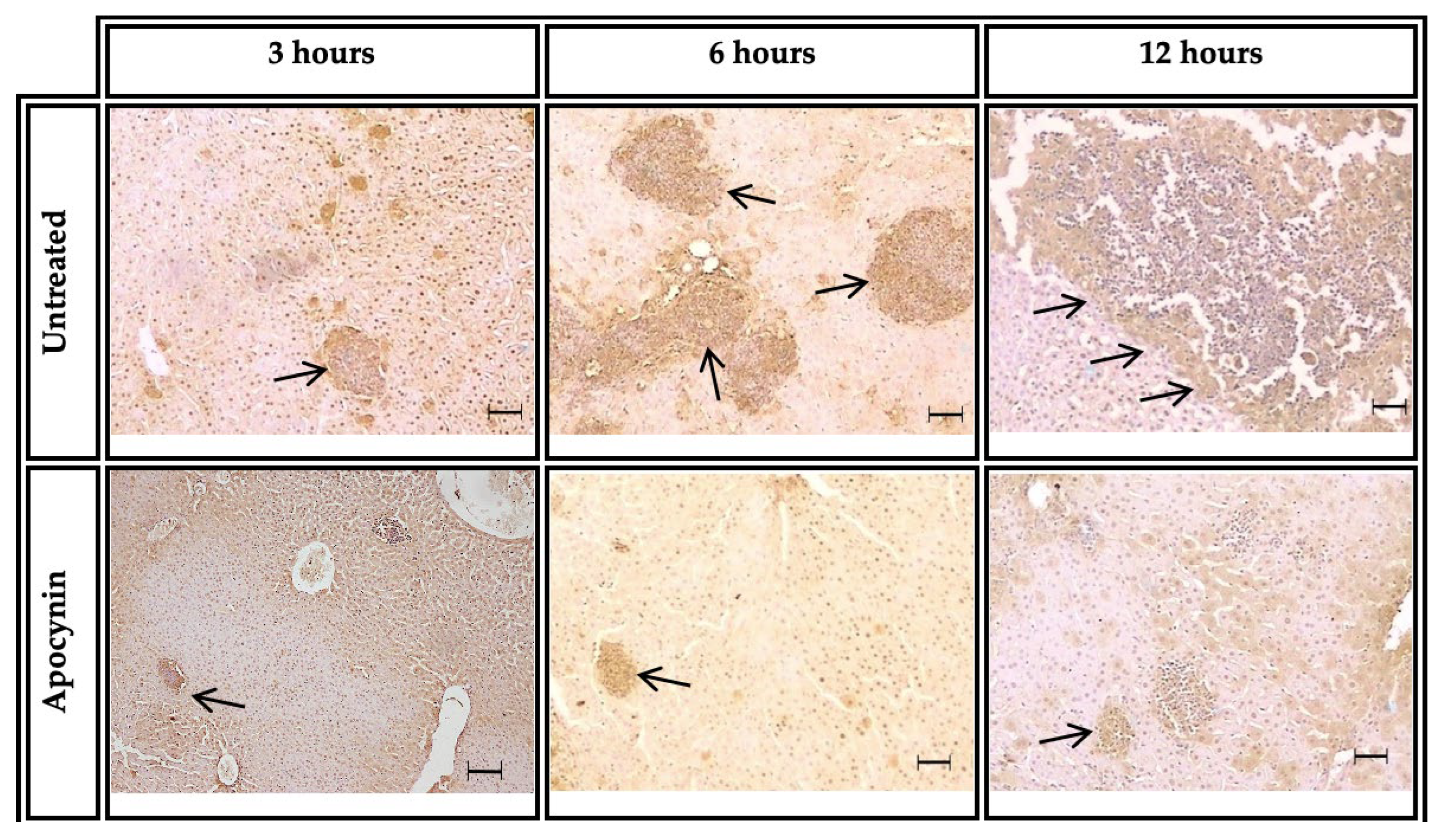 Biomedicines 11 02322 g007 Biomedicines 11 02322 g007