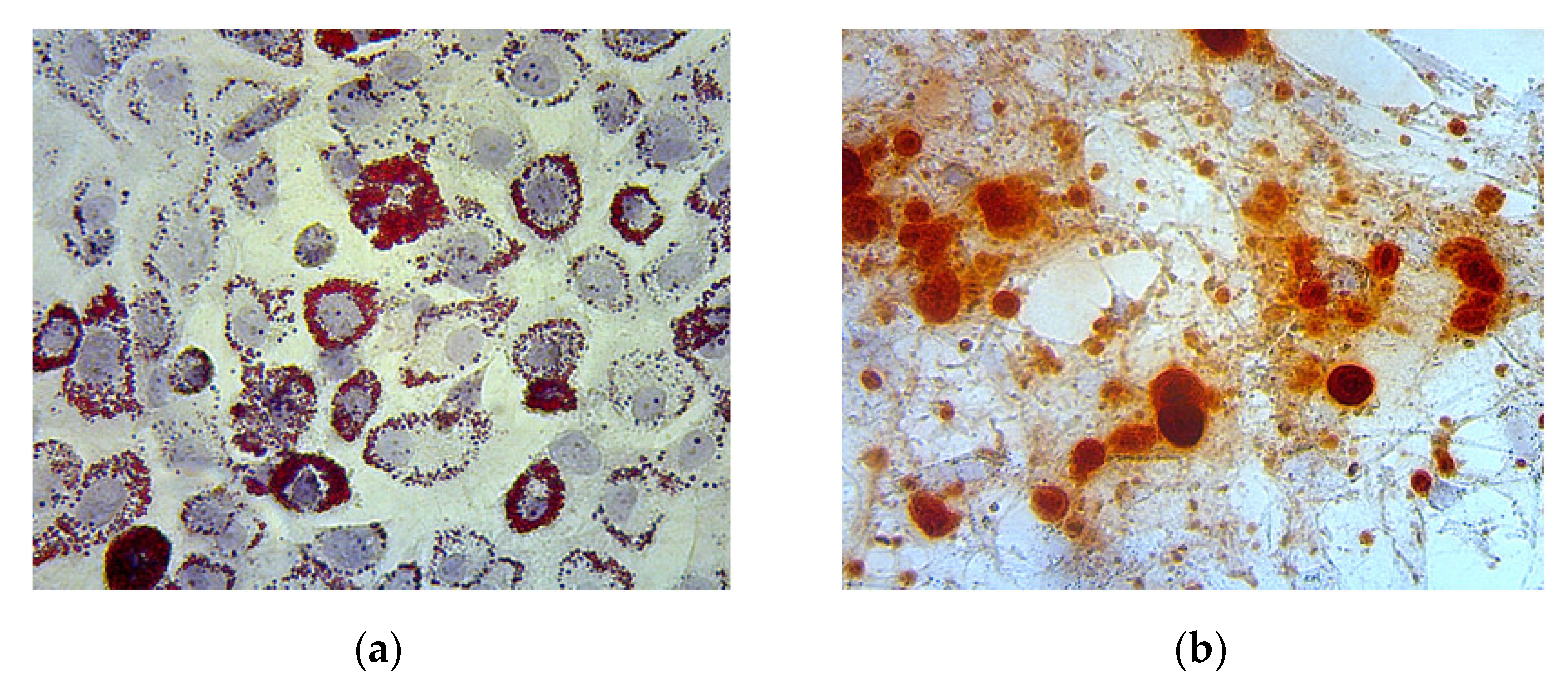 Biomedicines 11 02325 g003