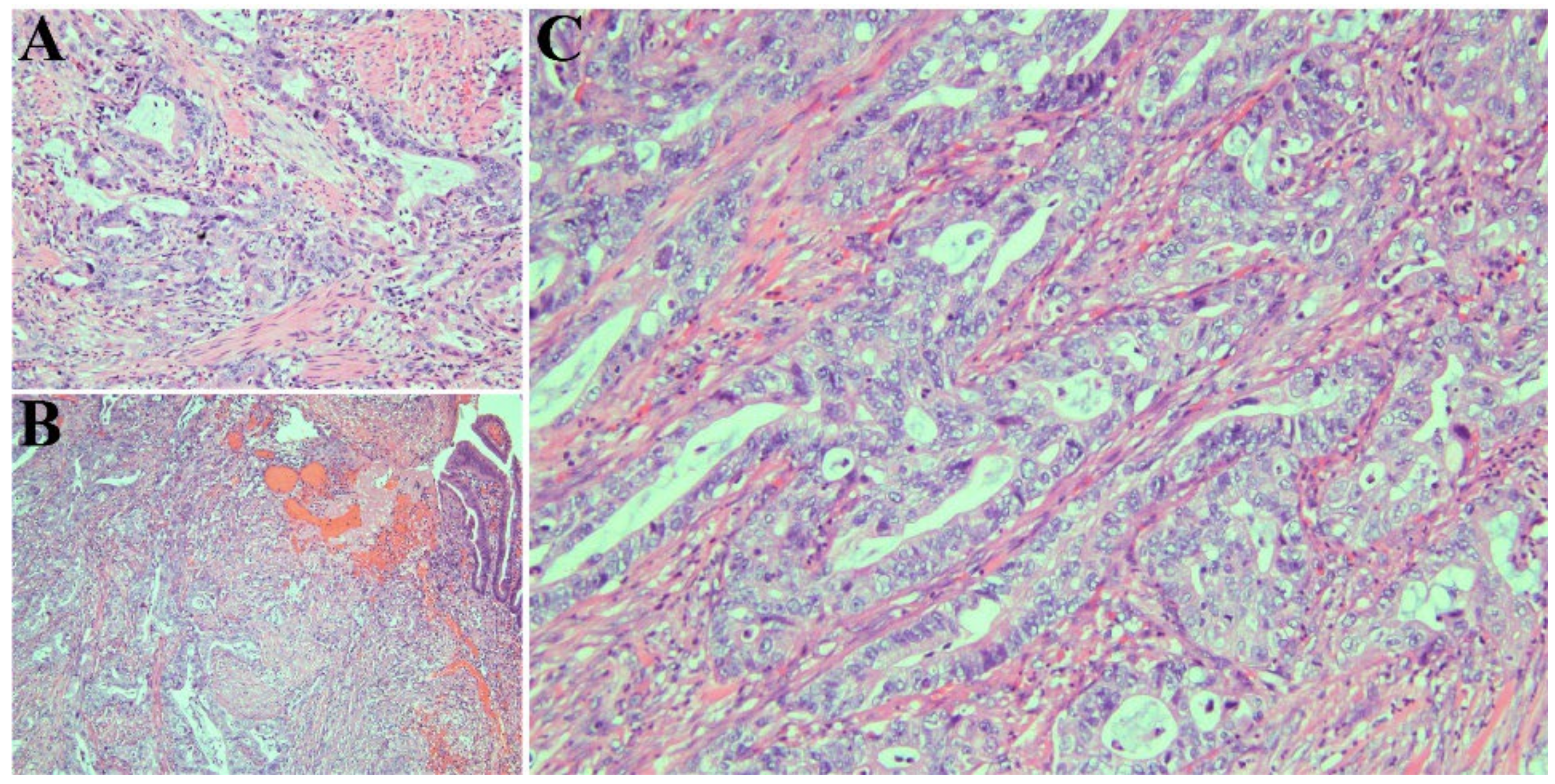 Biomedicines 11 02326 g002