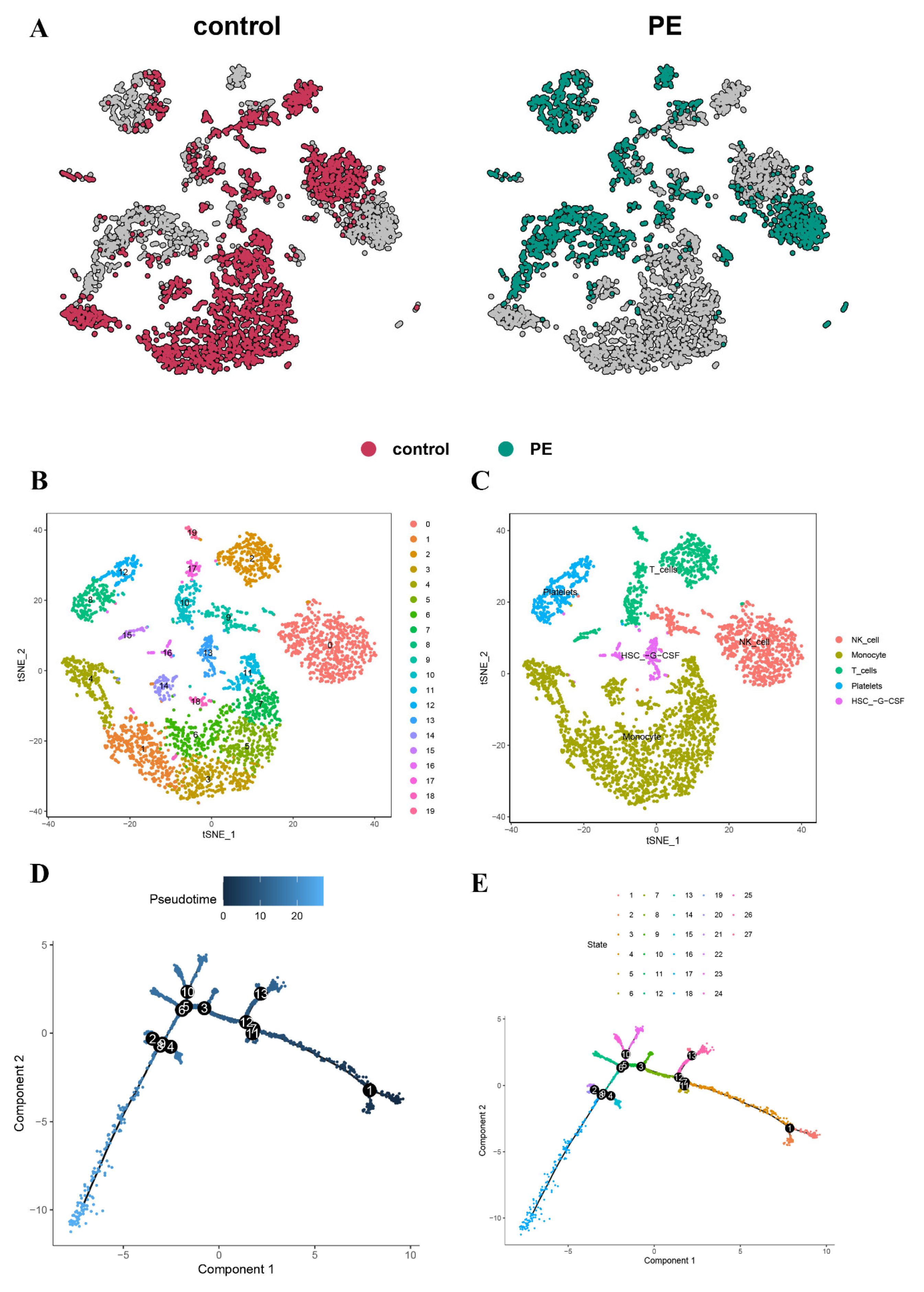 Biomedicines 11 02328 g002