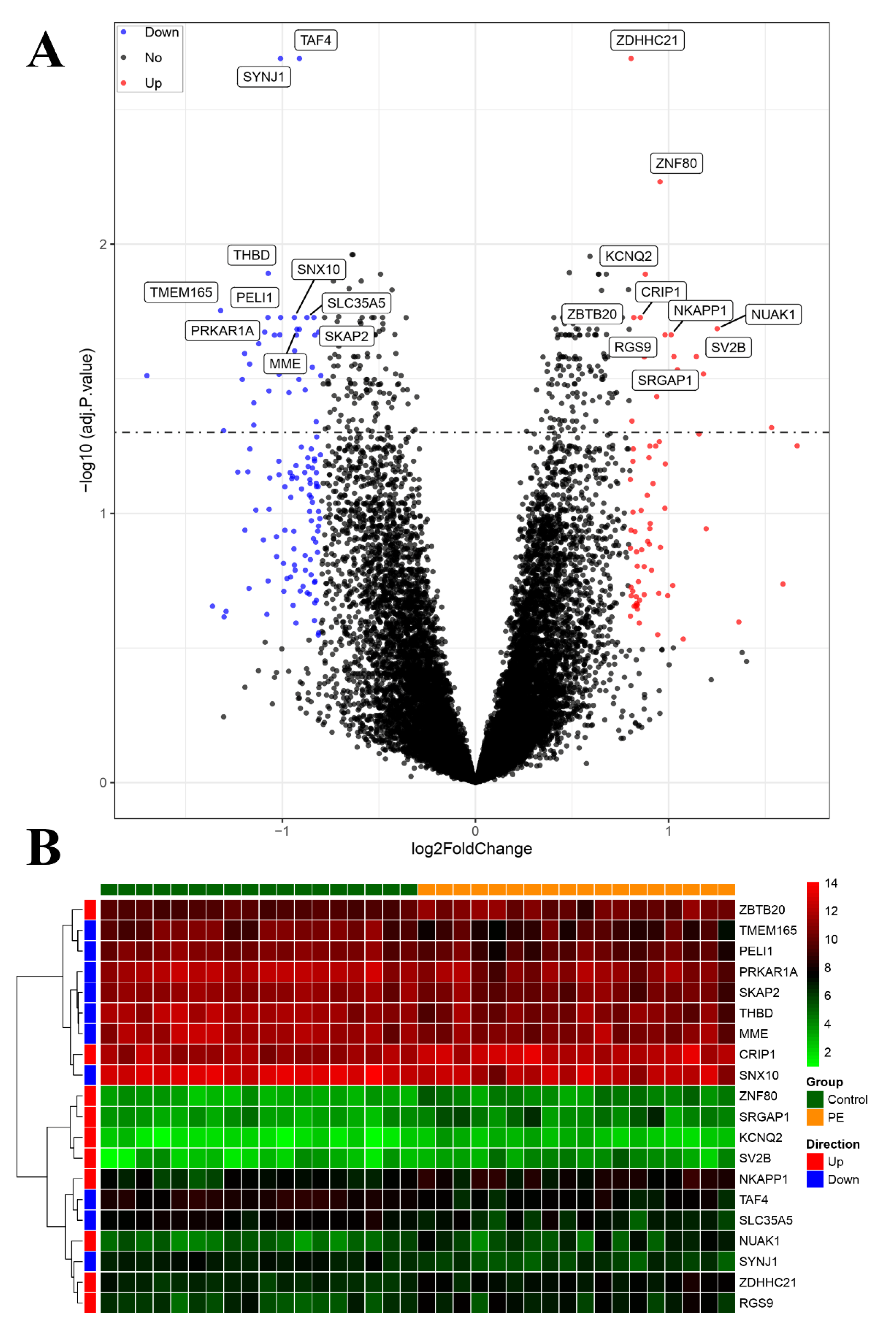 Biomedicines 11 02328 g004