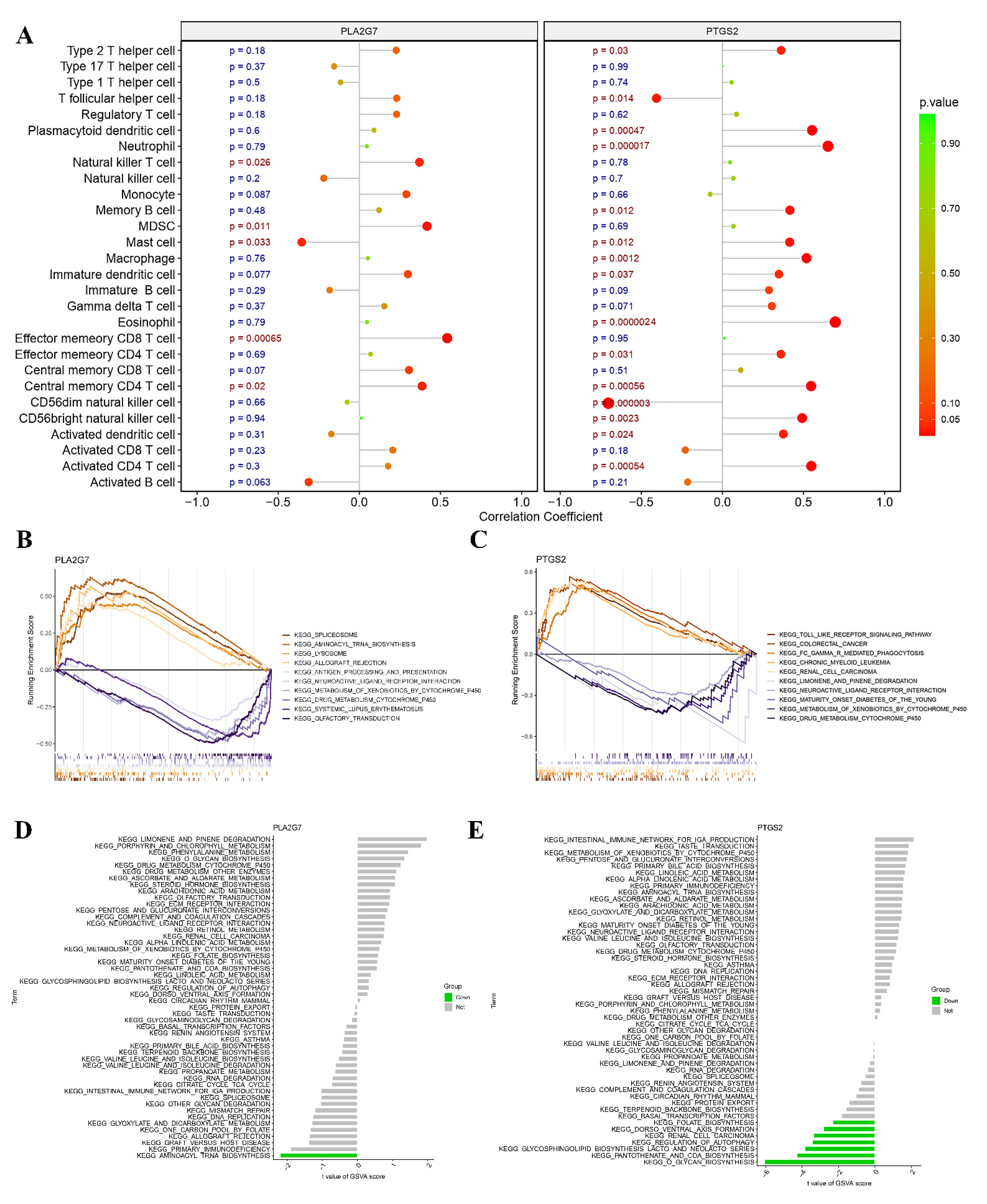 Biomedicines 11 02328 g007