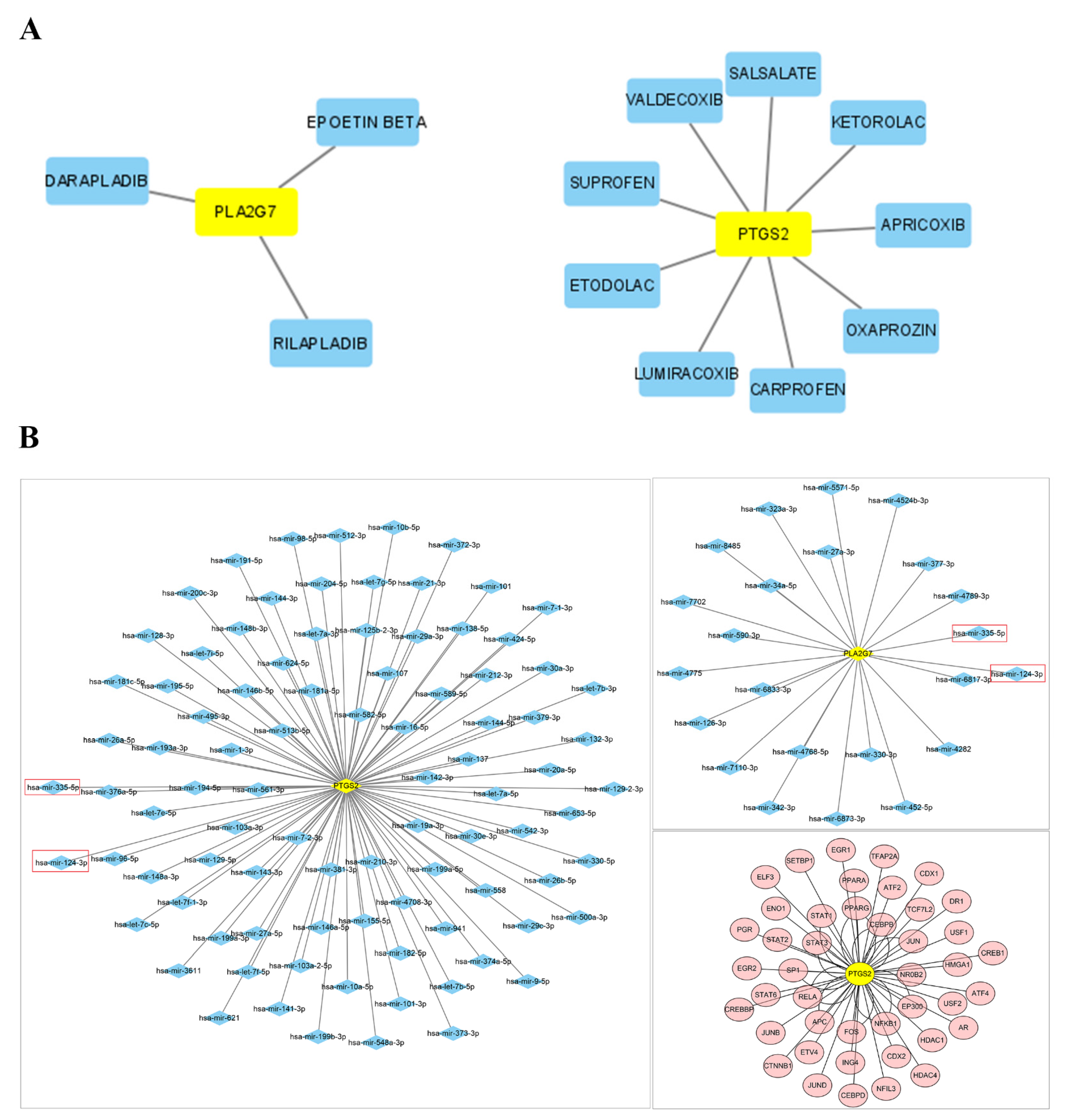 Biomedicines 11 02328 g008