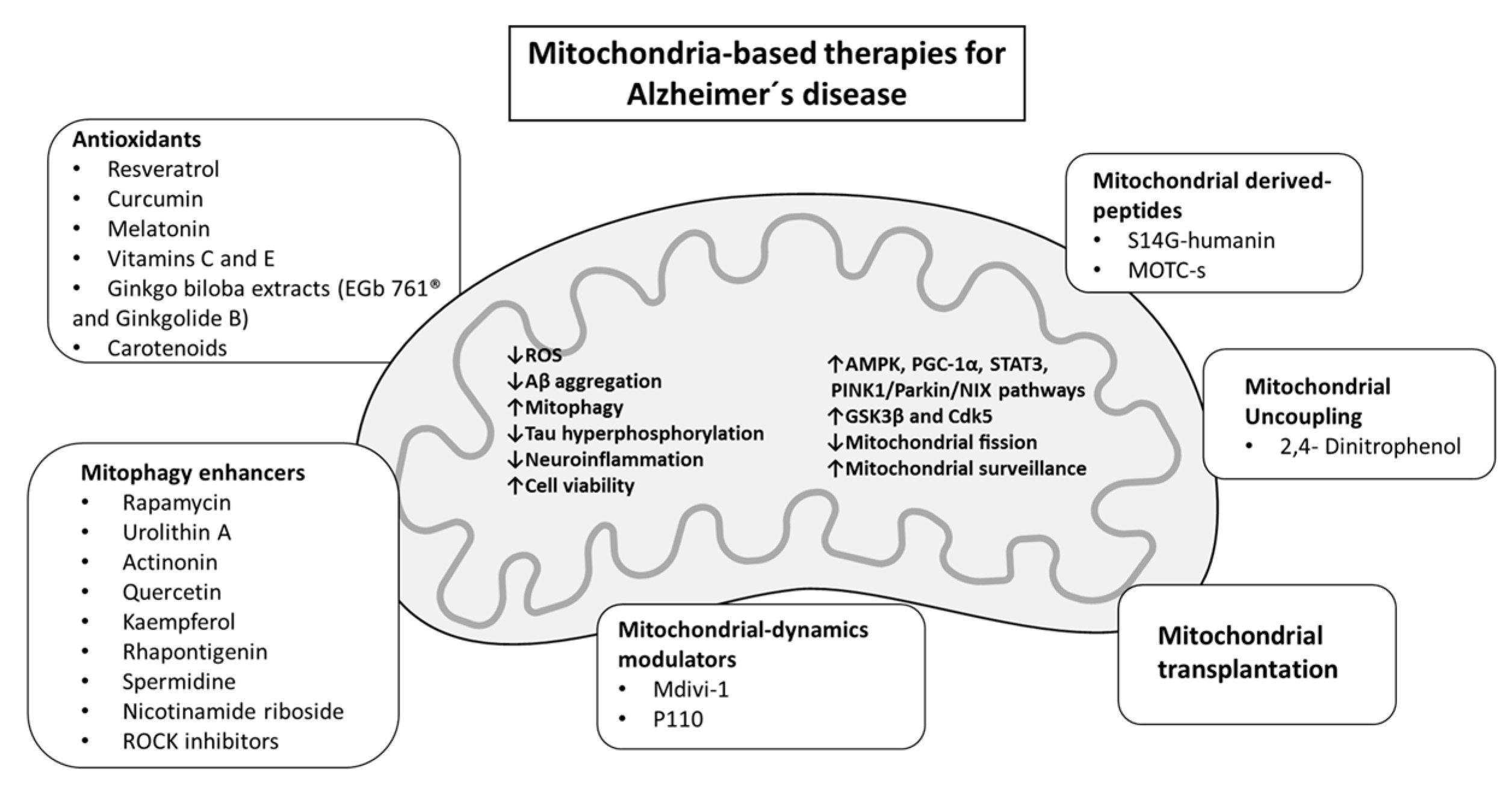 Biomedicines 11 02331 g002