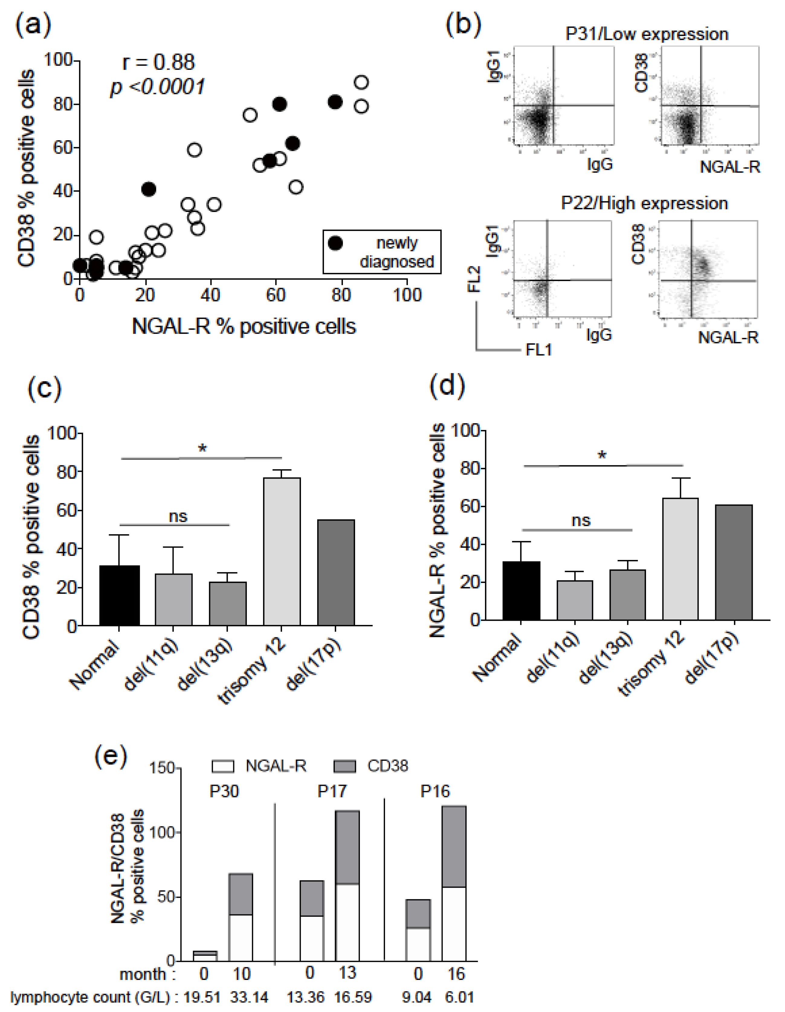 Biomedicines 11 02335 g001