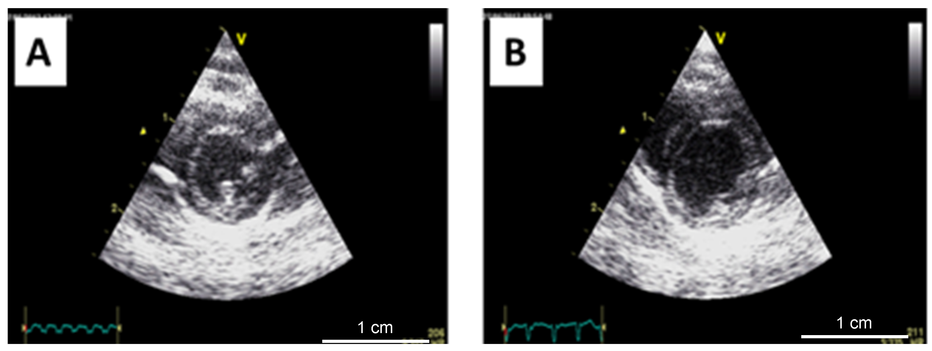 Biomedicines 11 02337 g004