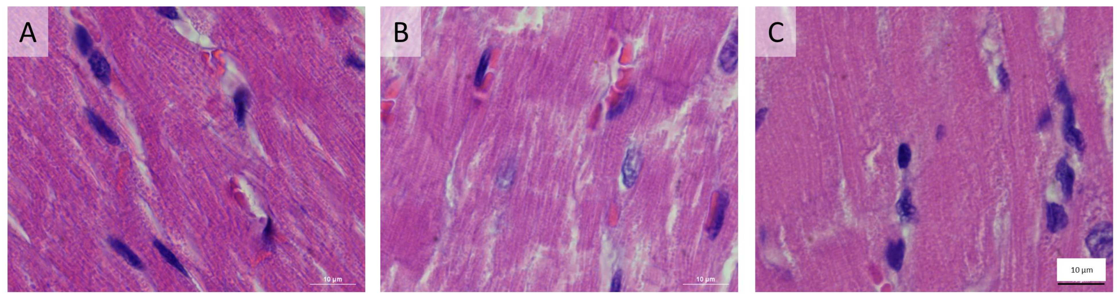 Biomedicines 11 02337 g007