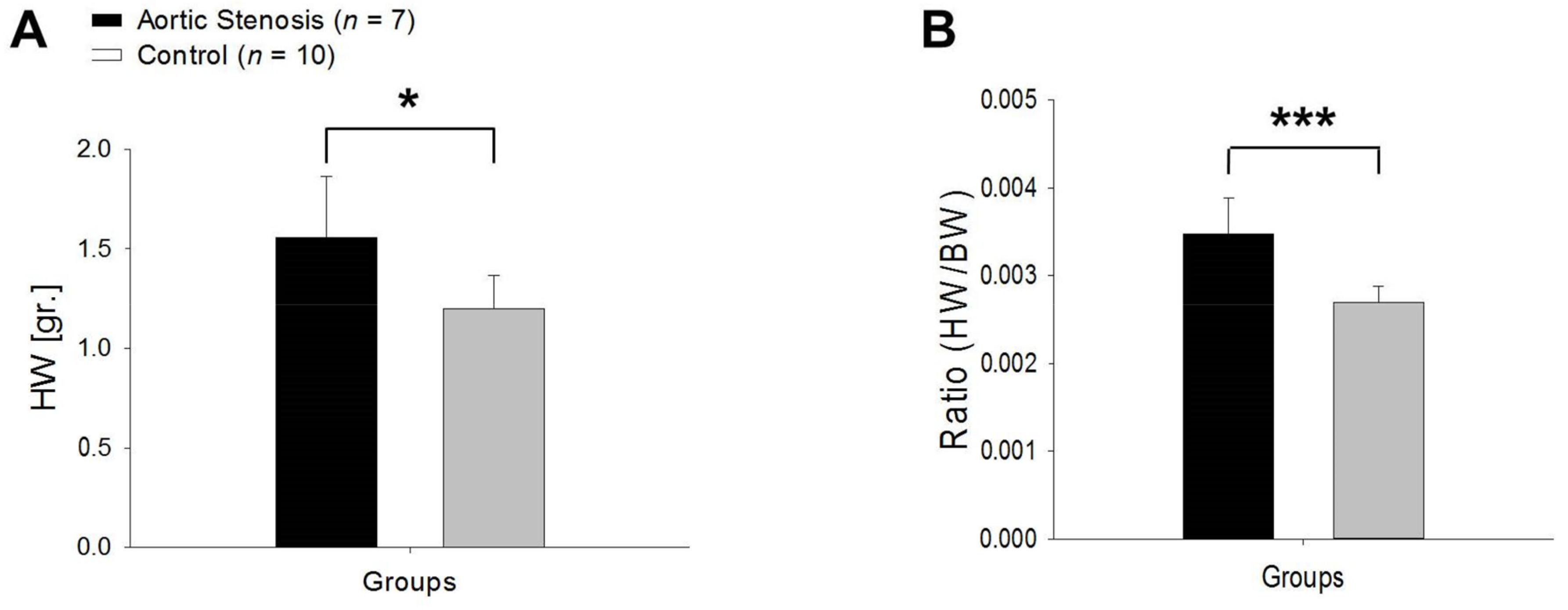 Biomedicines 11 02337 g009