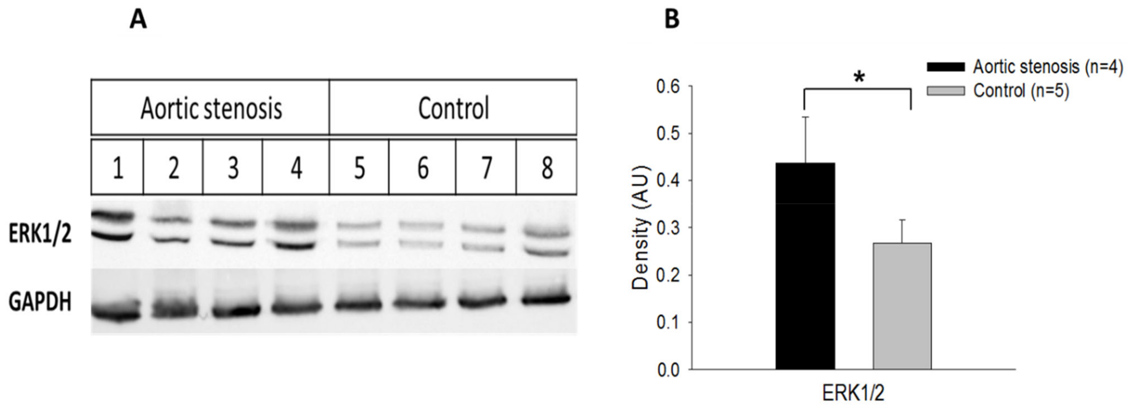 Biomedicines 11 02337 g013