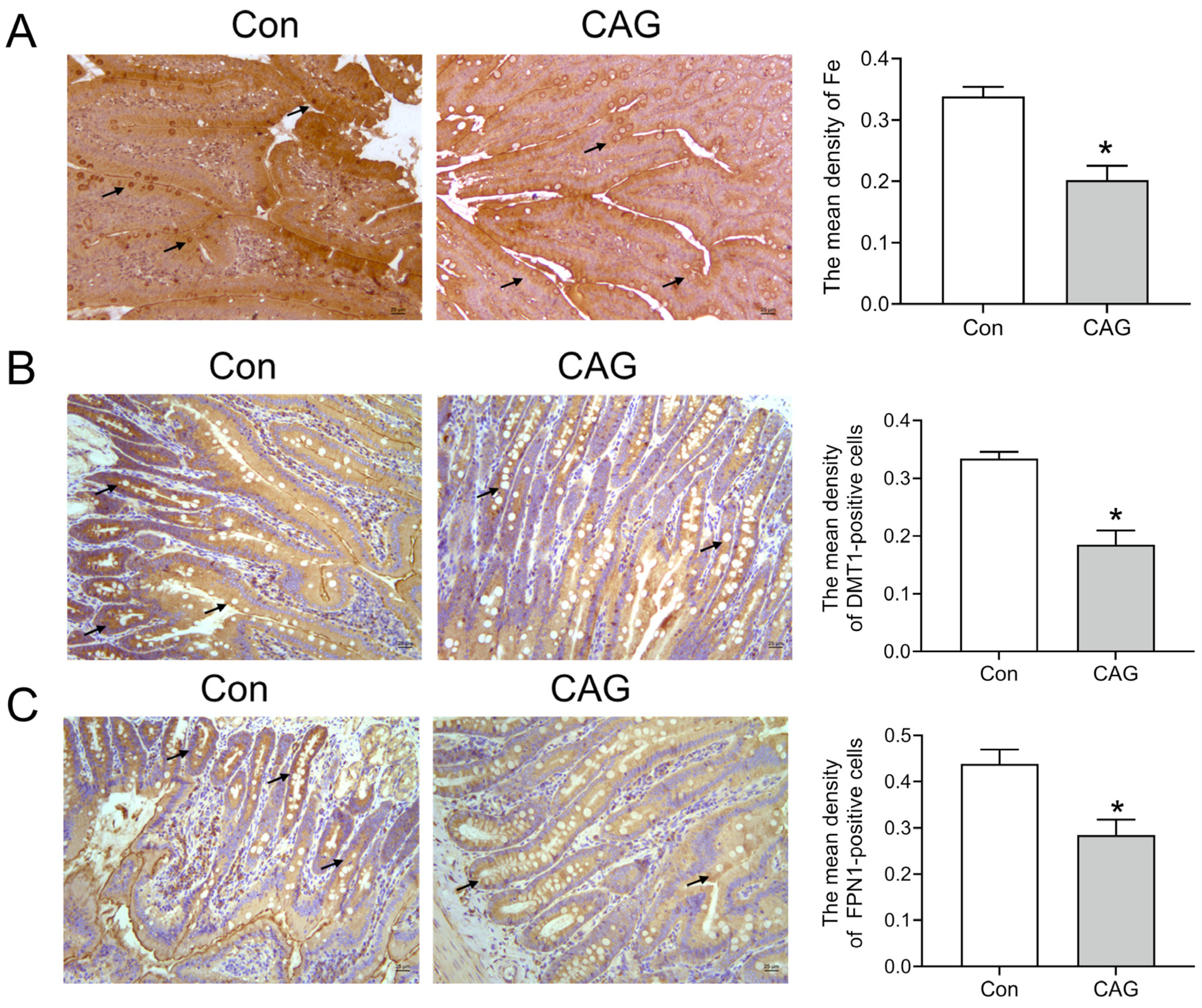 Biomedicines 11 02338 g006