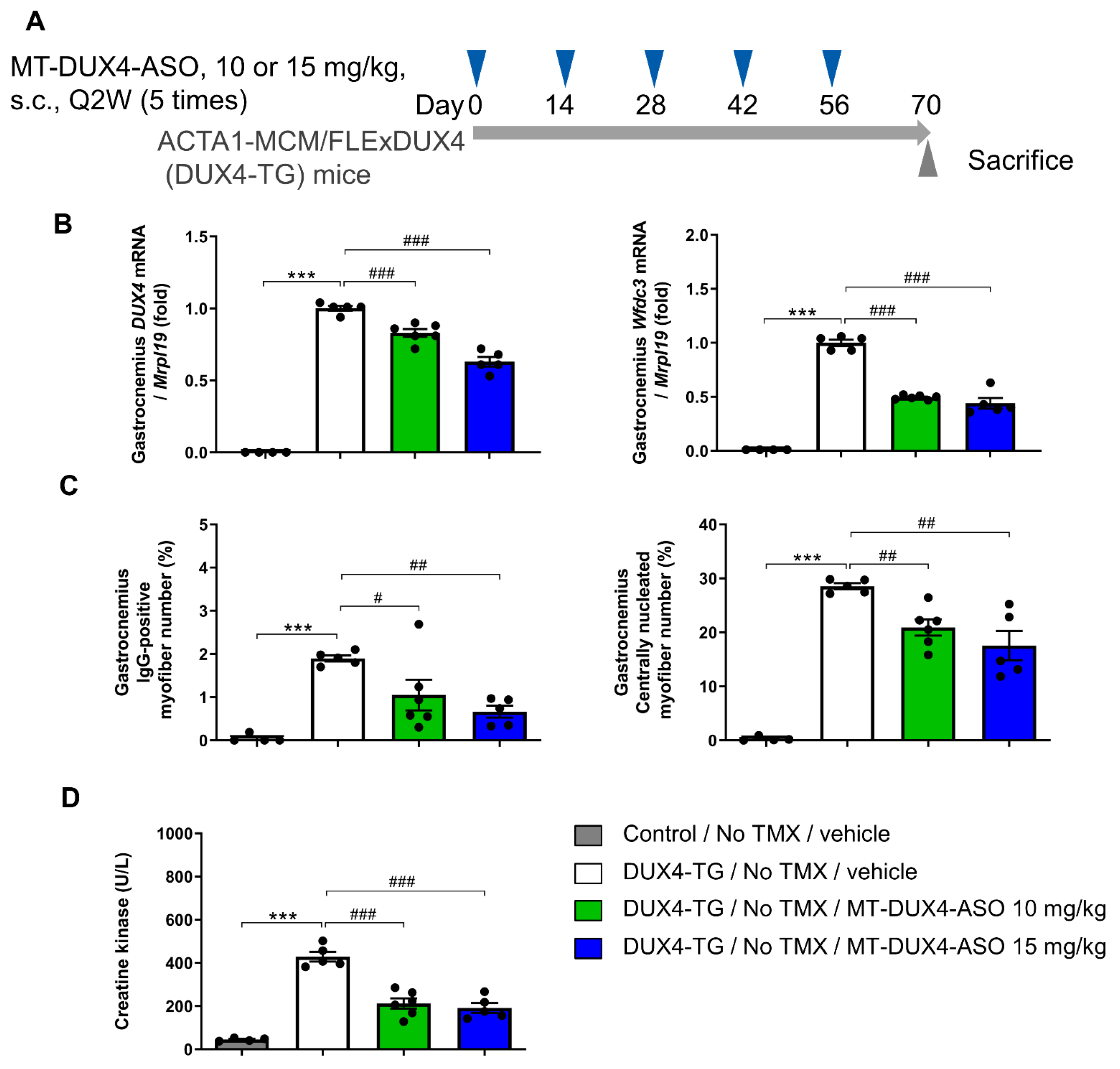 Biomedicines 11 02339 g002 Biomedicines 11 02339 g002