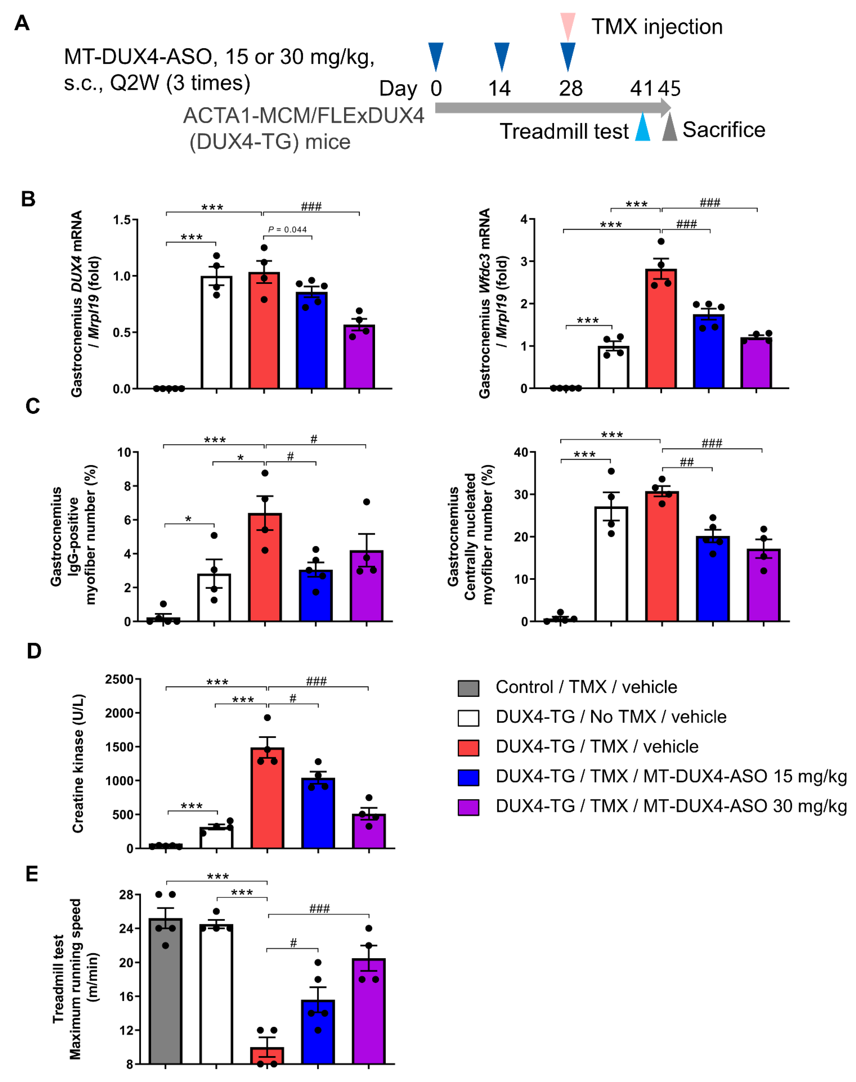Biomedicines 11 02339 g004 Biomedicines 11 02339 g004